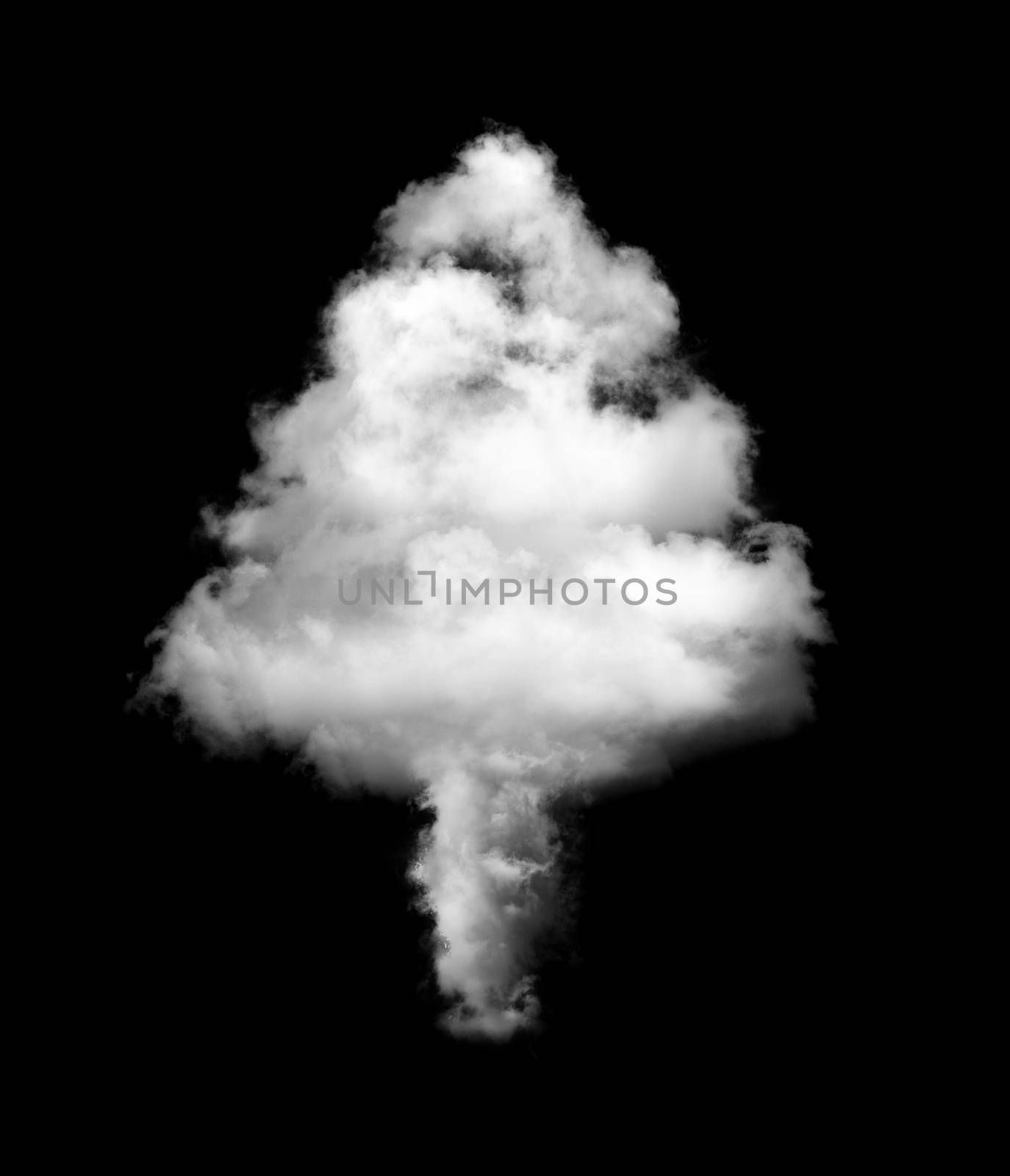 tree Cloud shape on back by sommai