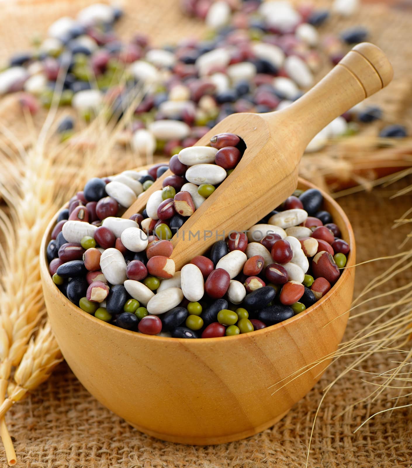 grains mix beans  by sommai