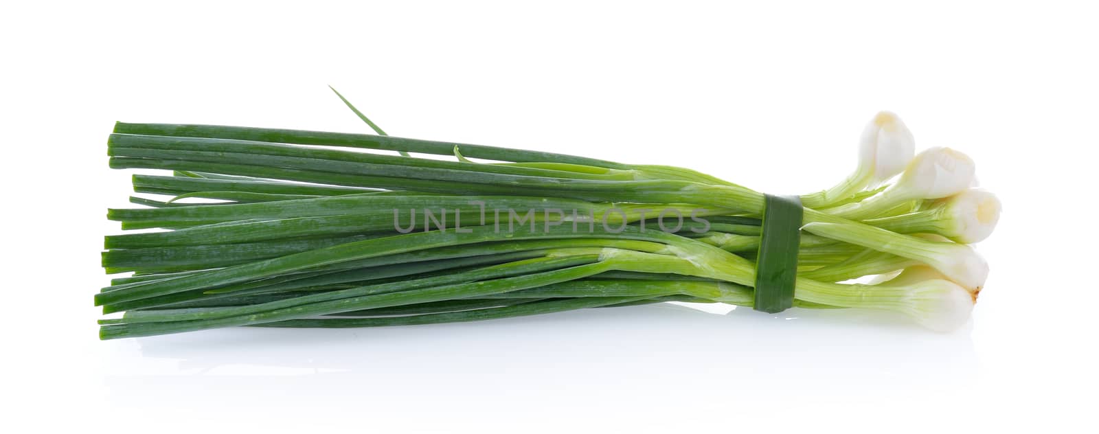 Green onion isolated on the white background by sommai