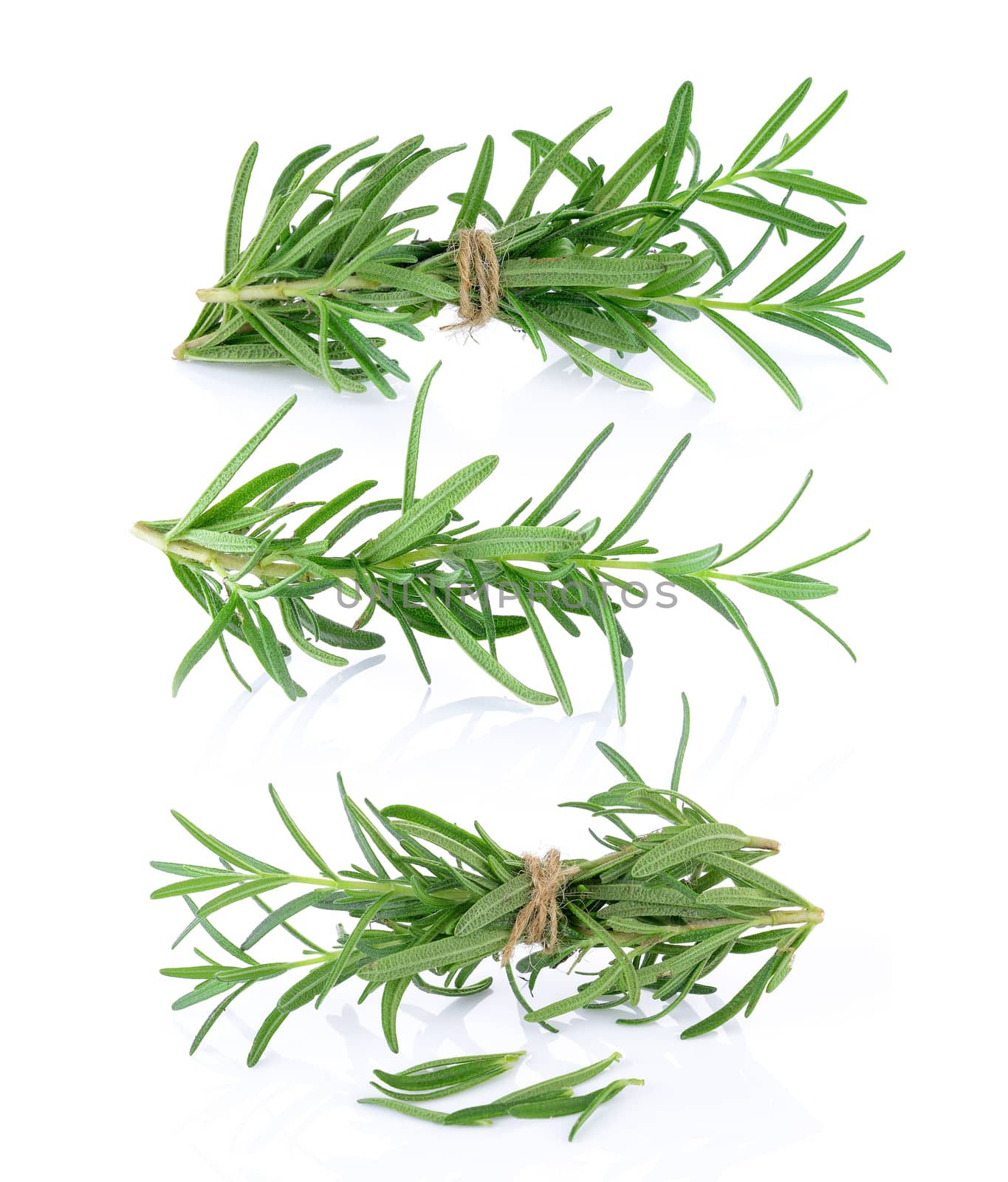 rosemary on white background by sommai