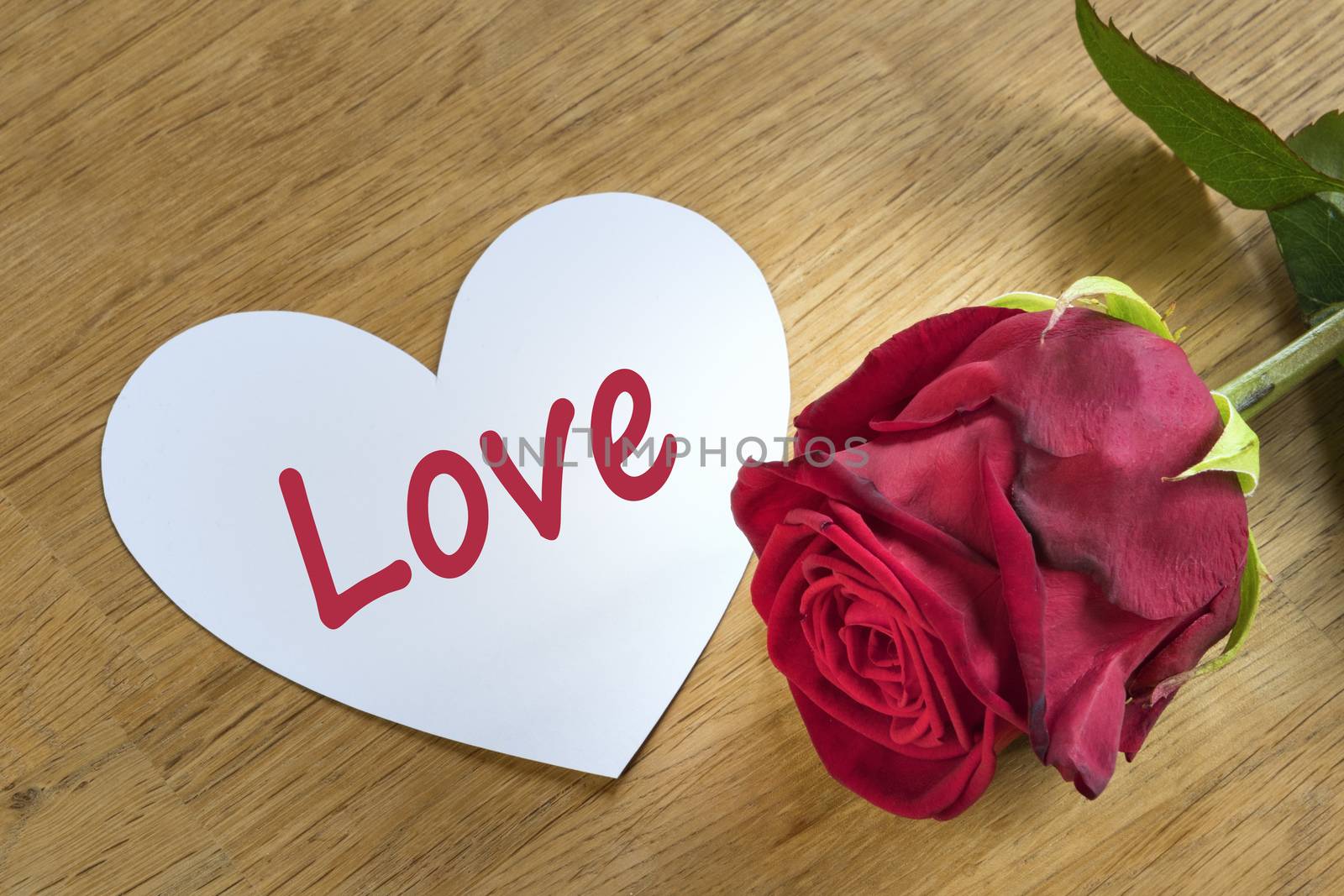 red rose on a table with white love heart