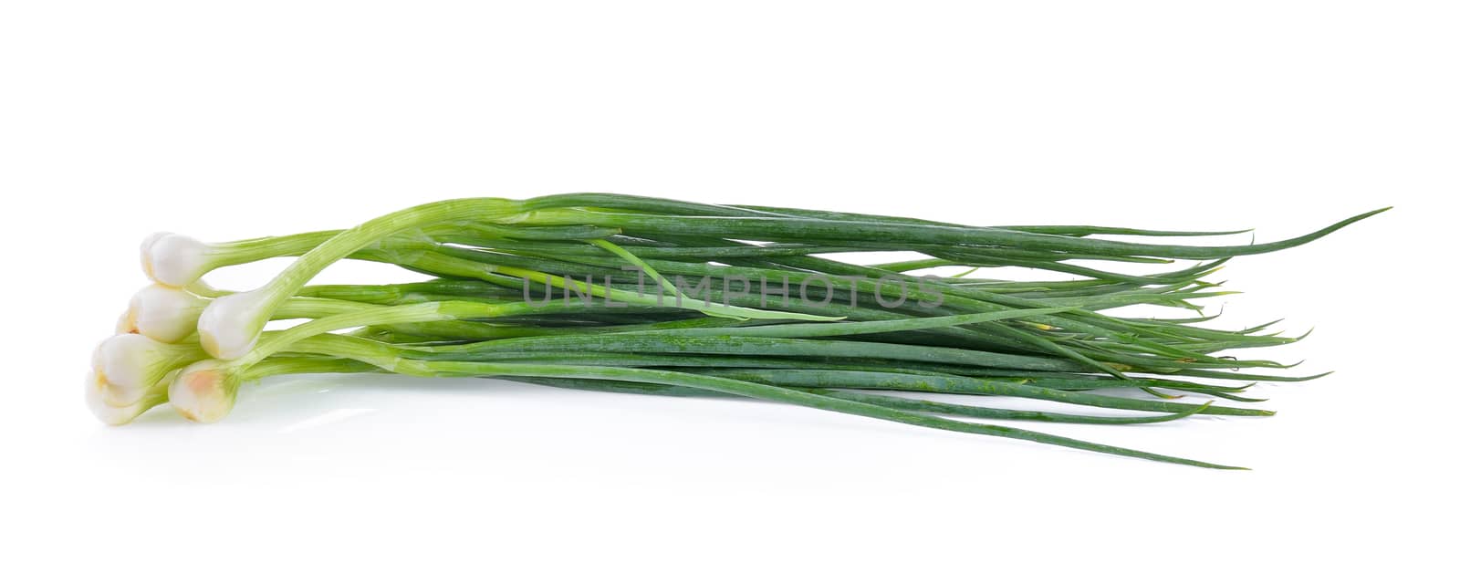 Green onion isolated on the white background