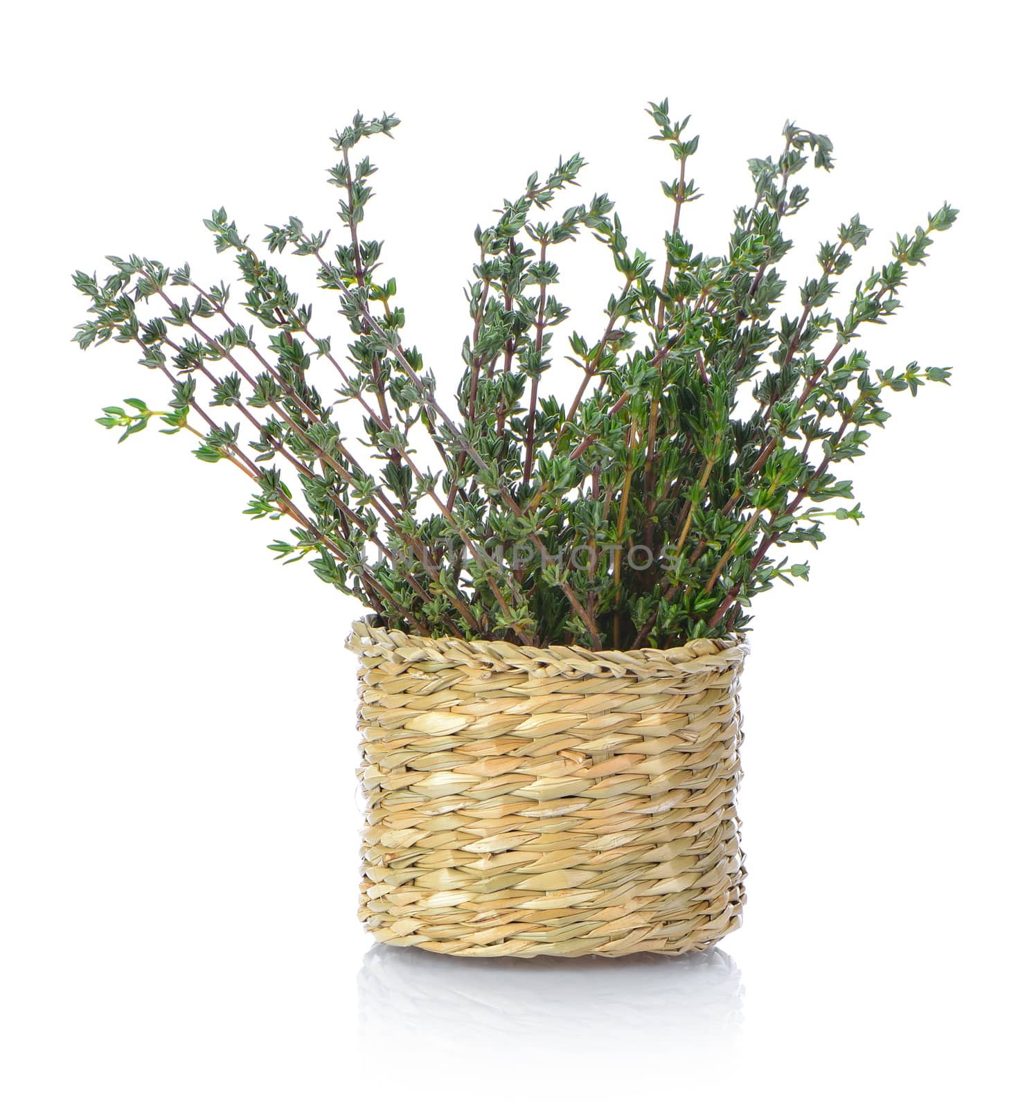 Thyme herb in basket on white background by sommai