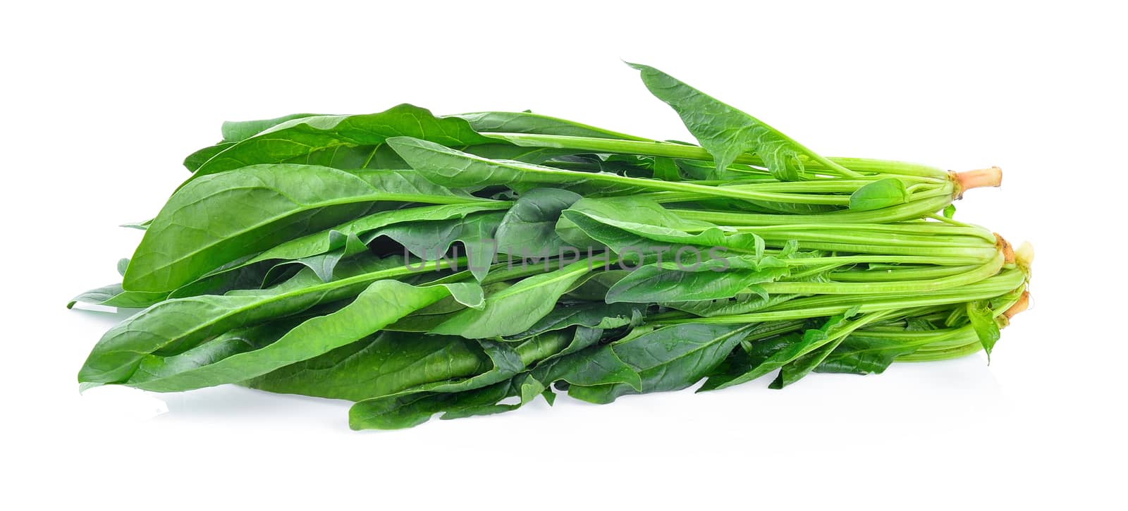 Spinach leaves isolated on white background by sommai