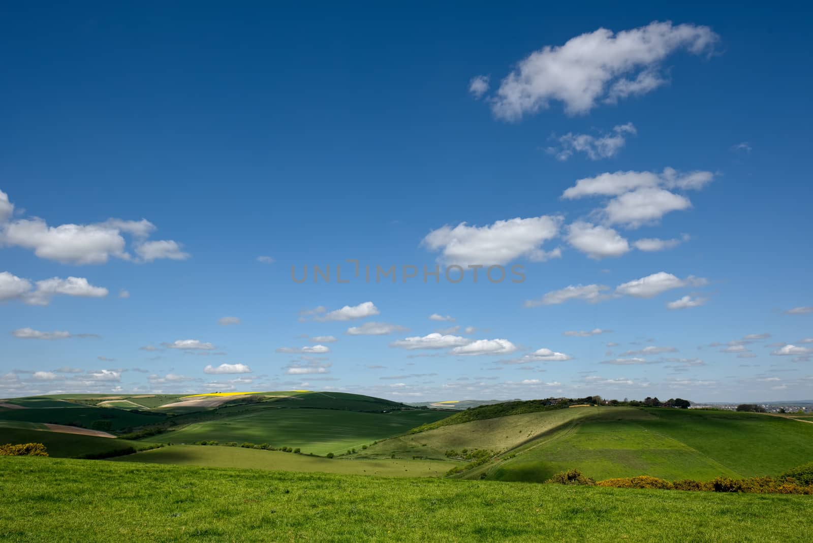 Scenic View of the Rolling Sussex Countryside