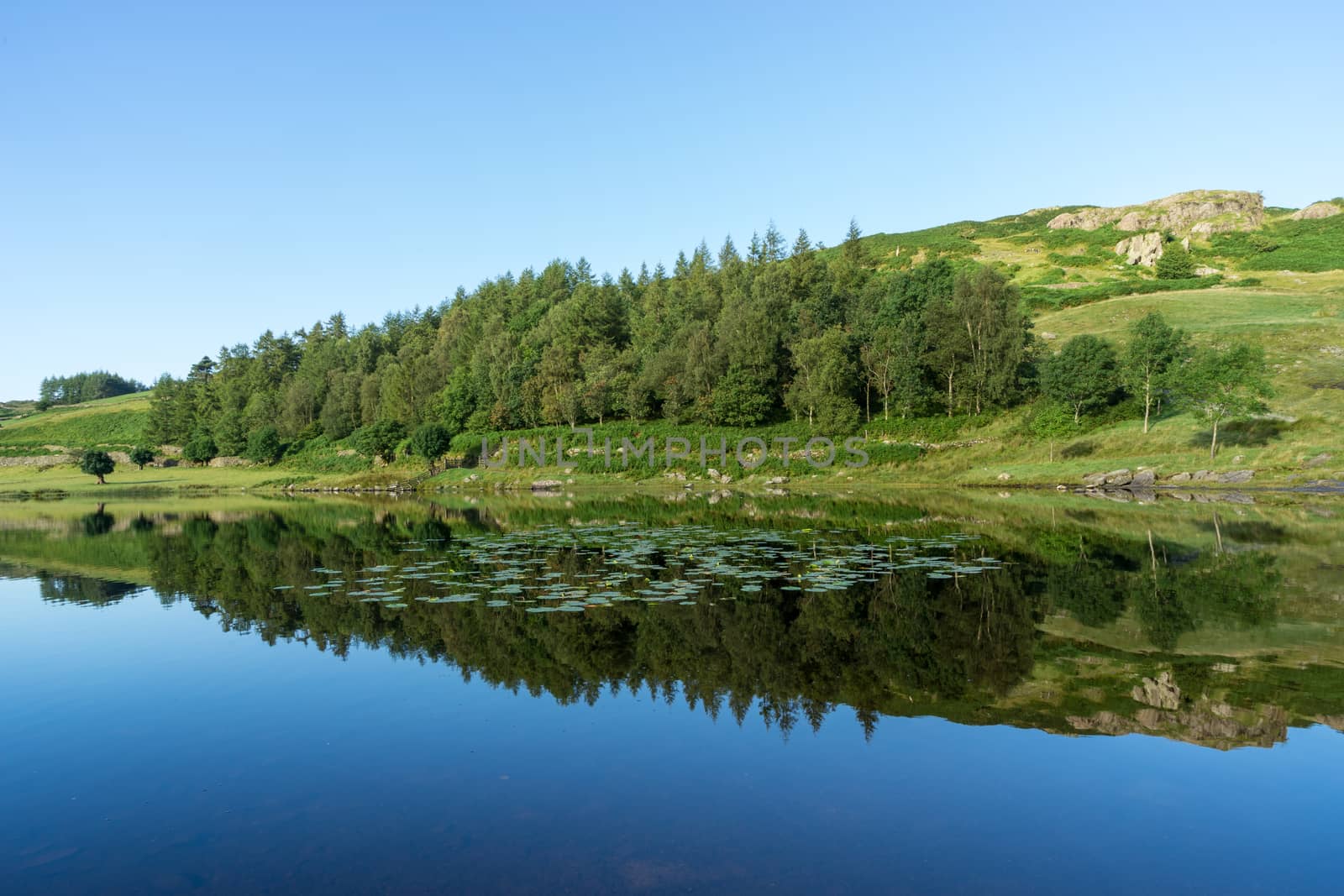 Watendlath Tarn by phil_bird