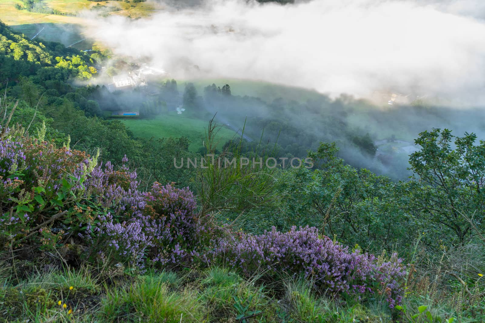 View from Surprise View near Derwentwater by phil_bird