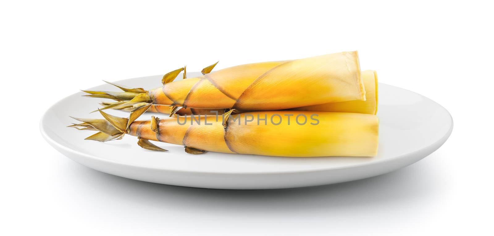 Bamboo shoot in a plate isolated on white background