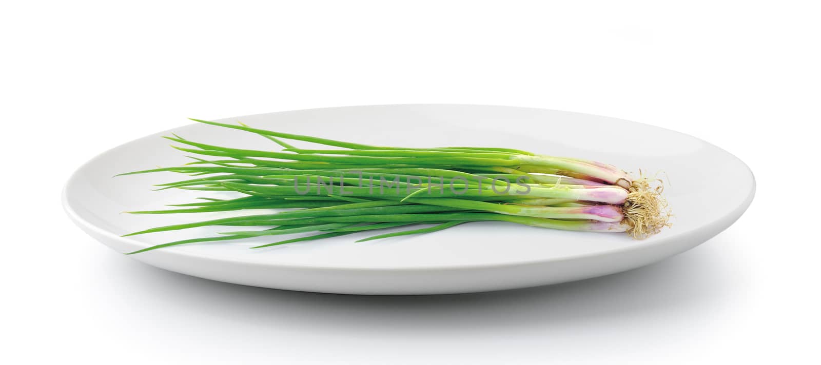 green onions in plate isolated on a white background by sommai