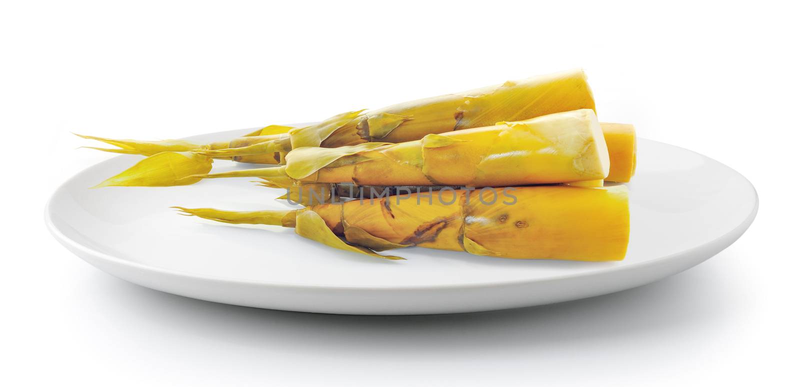 Bamboo shoot in plate isolated on a white background by sommai