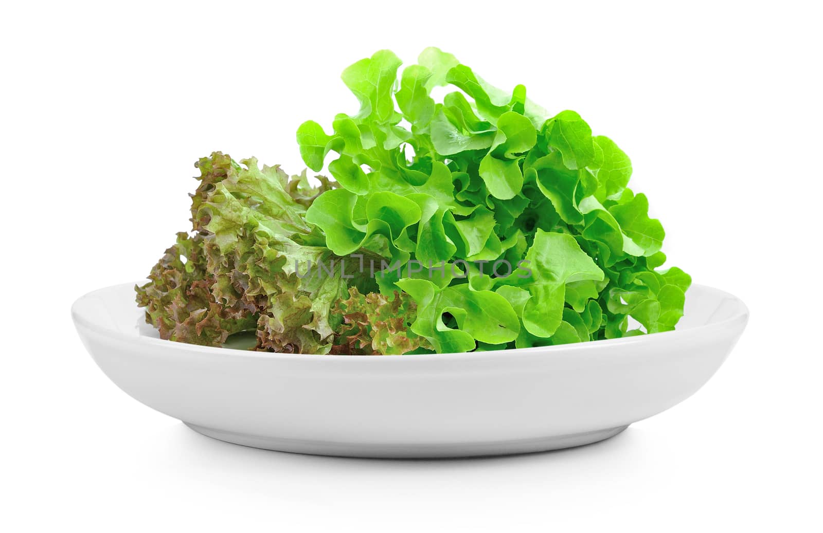 fresh green lettuce leaves in plate on white background
