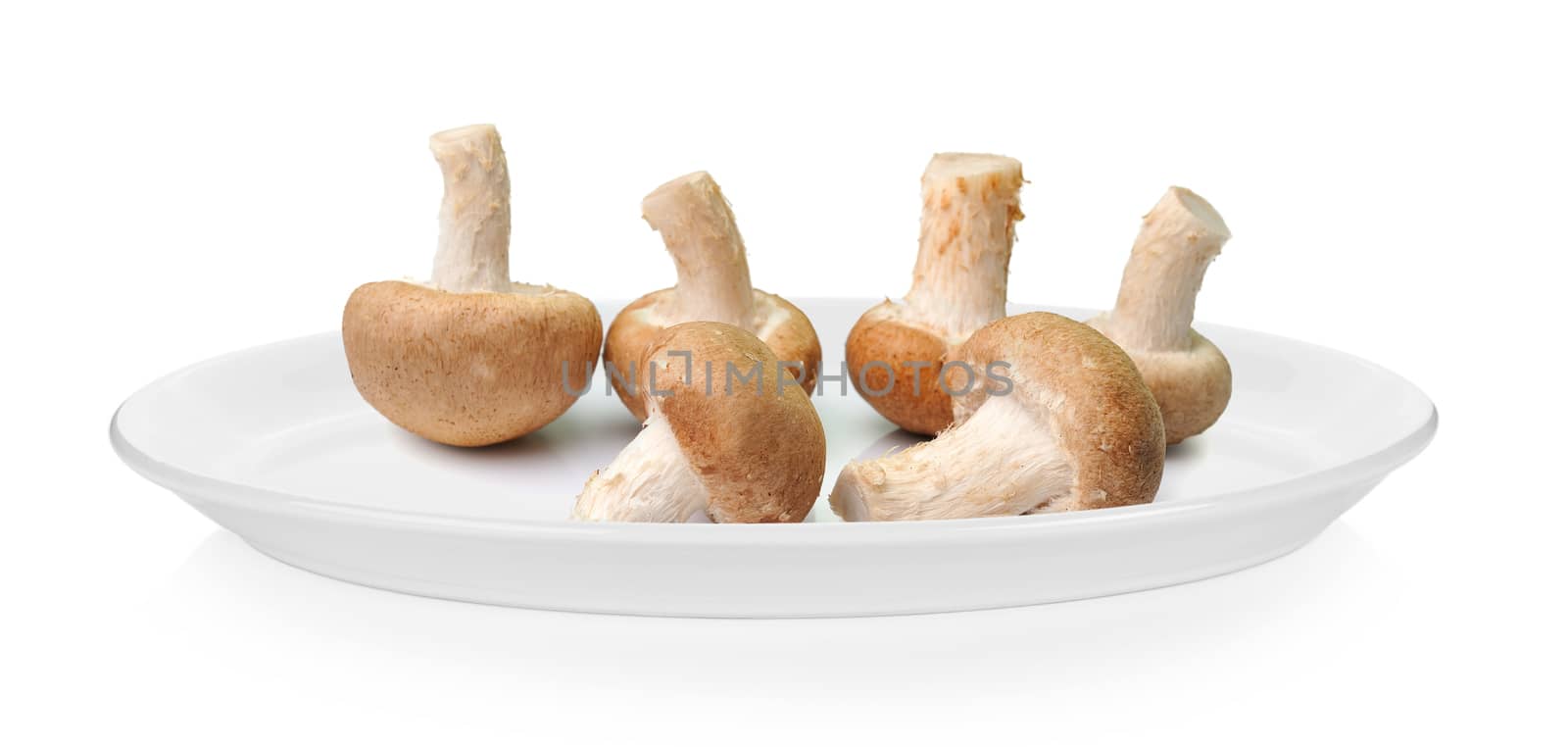 mushroom in plate on white background by sommai