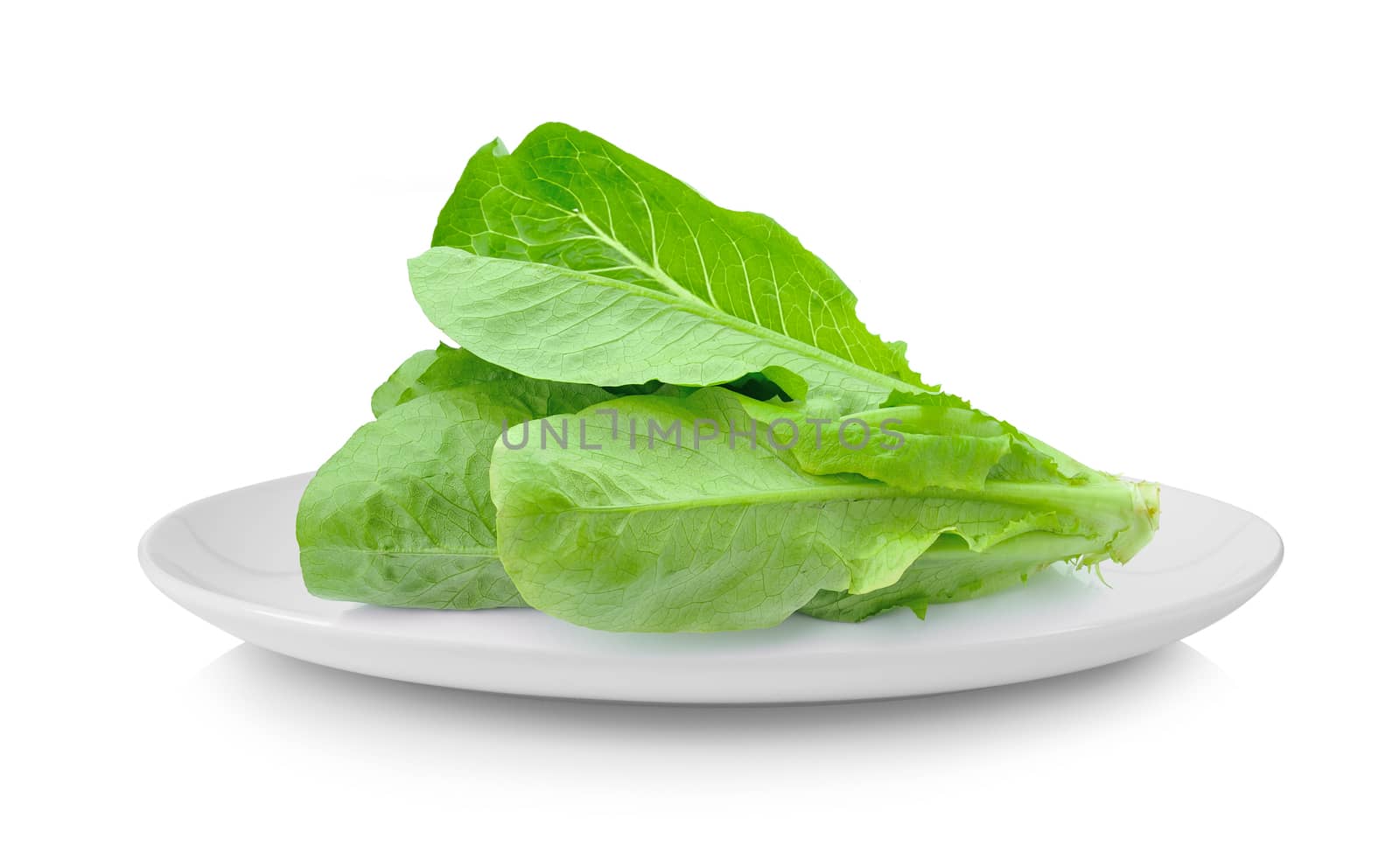 Cos Lettuce in plate isolated on white background