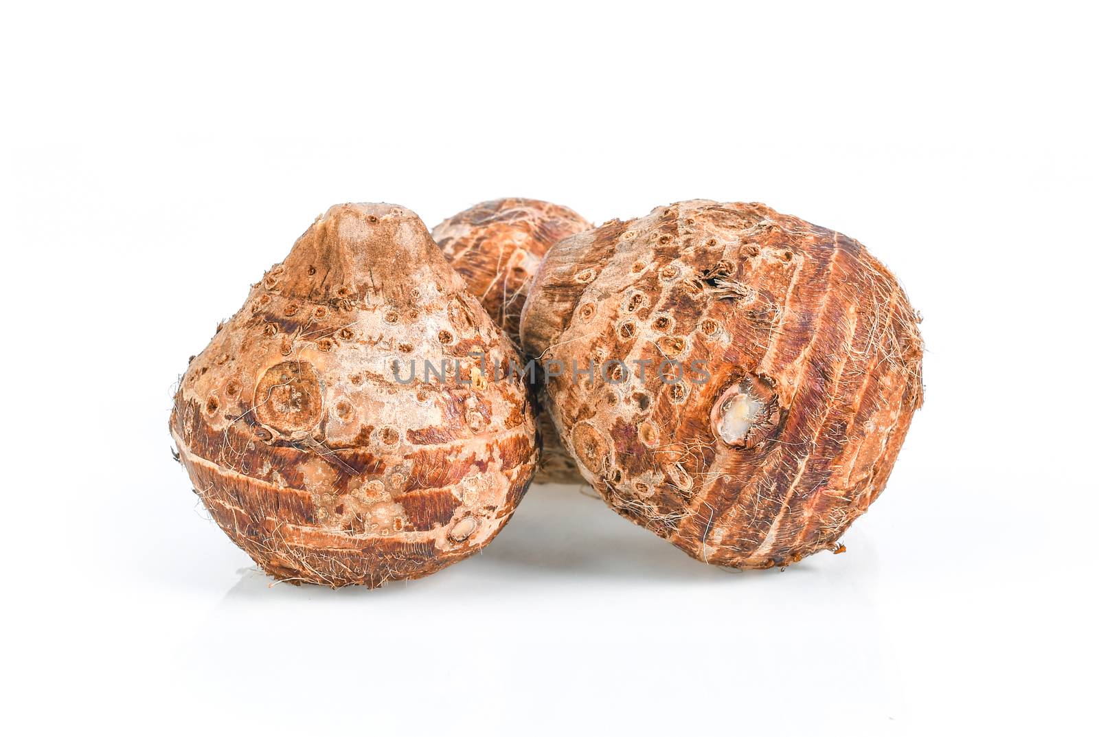 taro root isolated on white background