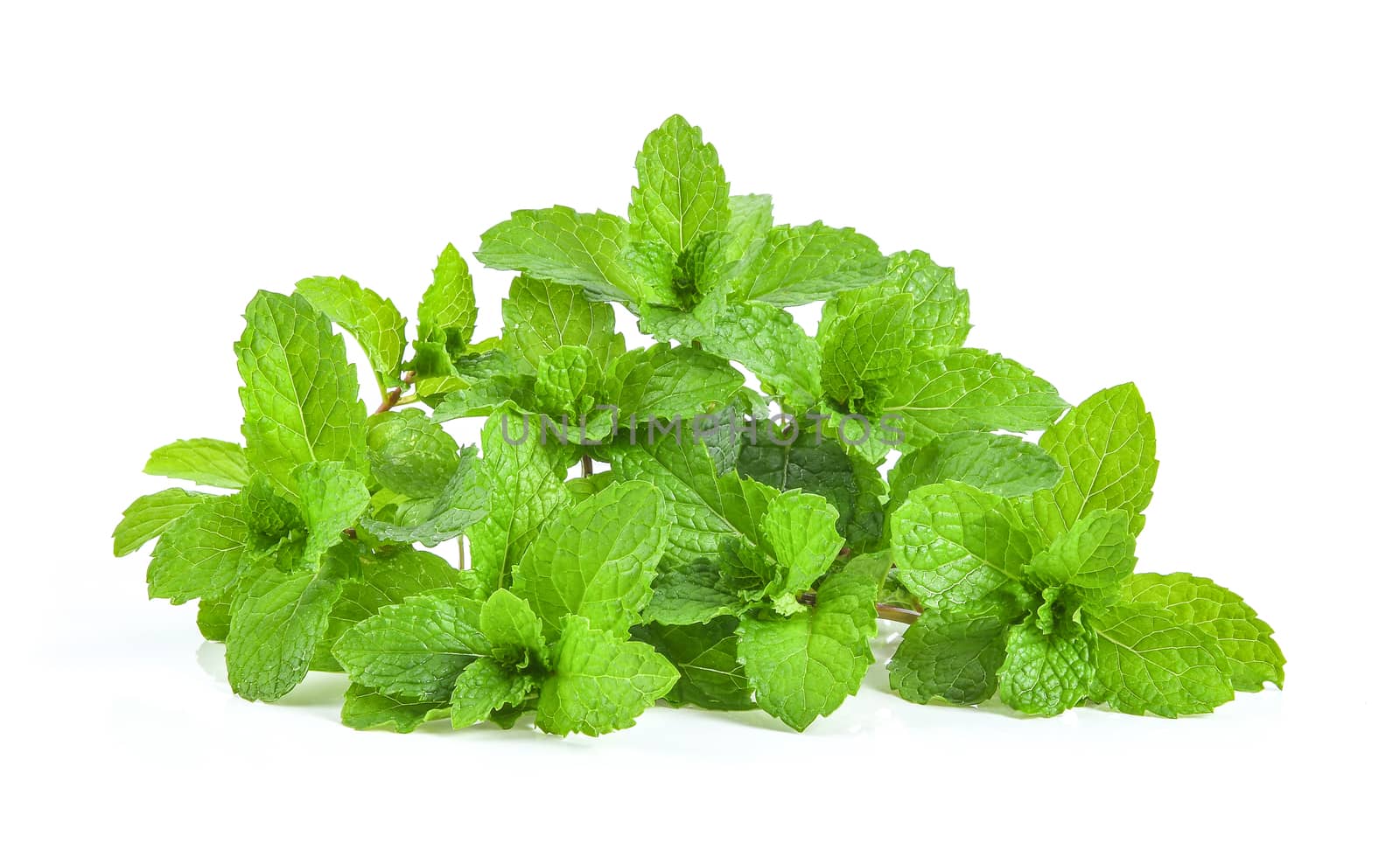 mint leafs isolated on white background by sommai