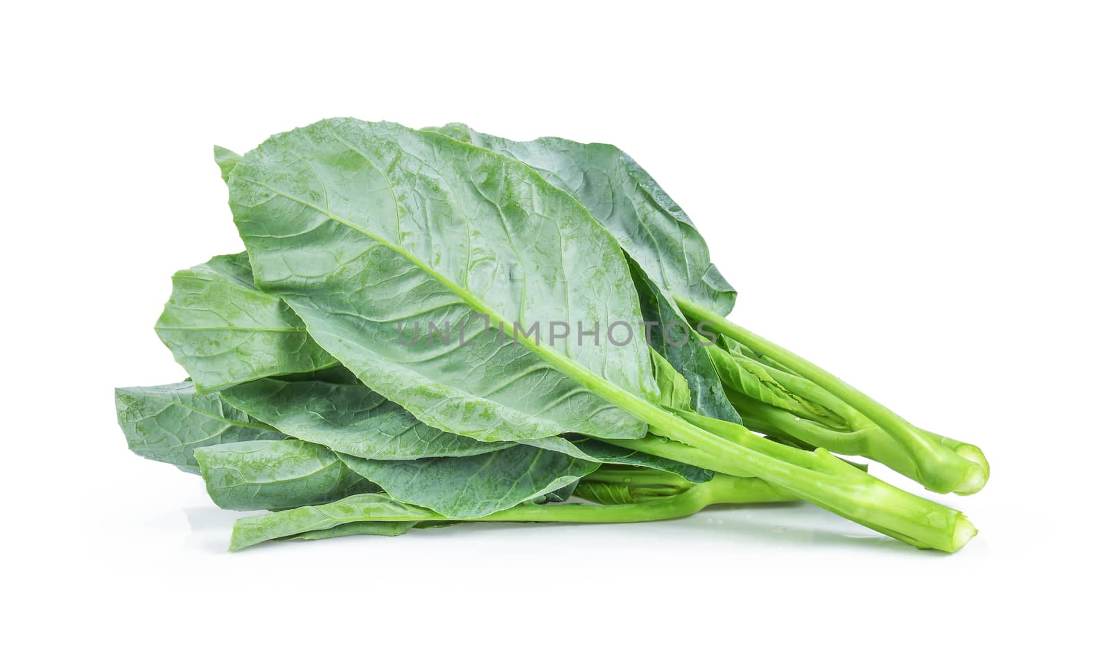 Chinese kale vegetable isolated on white background by sommai