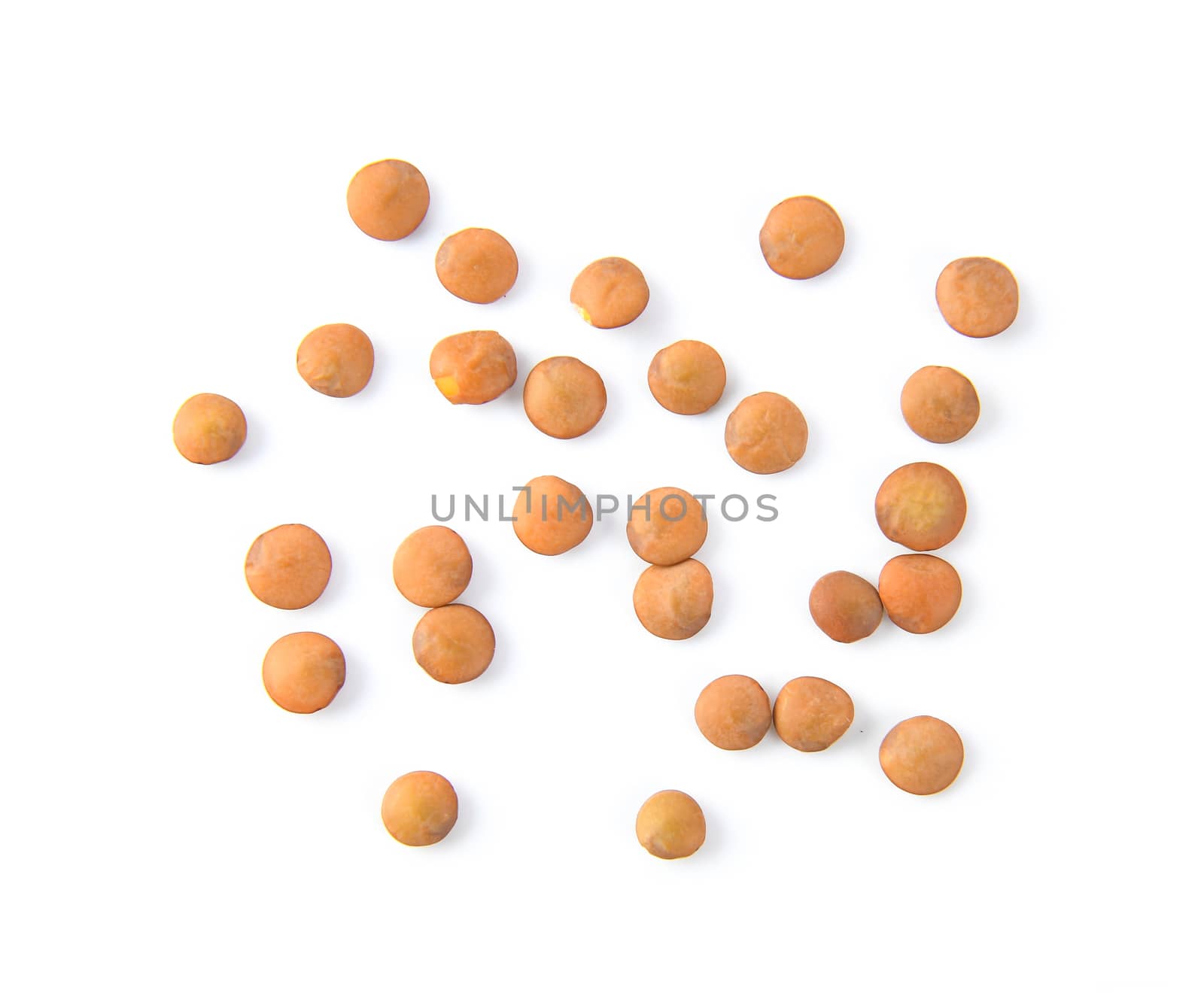 Brown Lentils isolated on white background