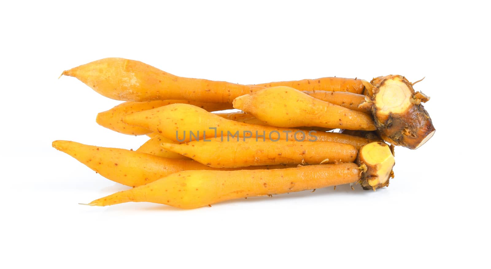 finger root (Krachai) Thai herb isolated on white background by sommai
