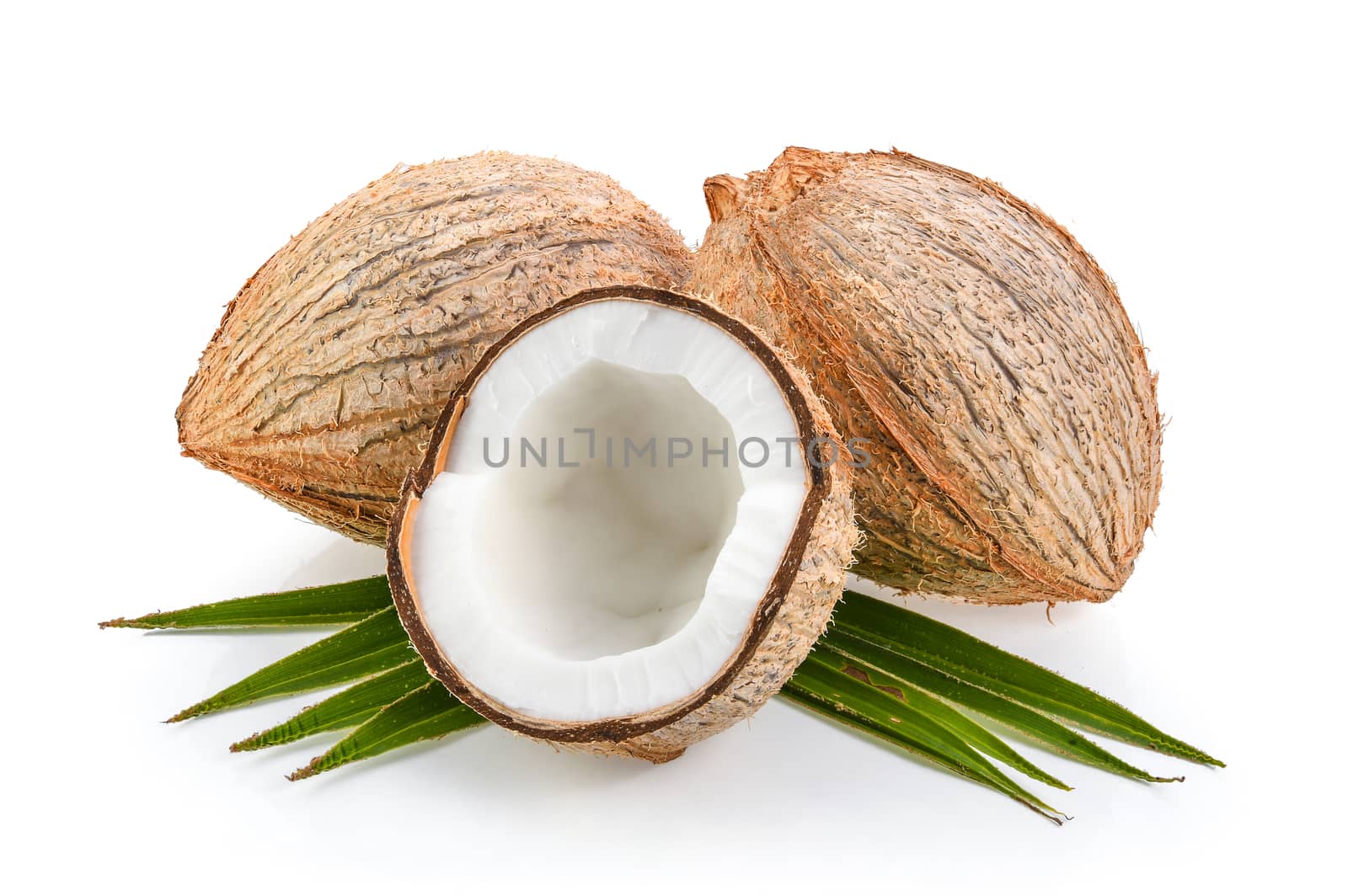 coconuts with leaf isolated on the white background by sommai