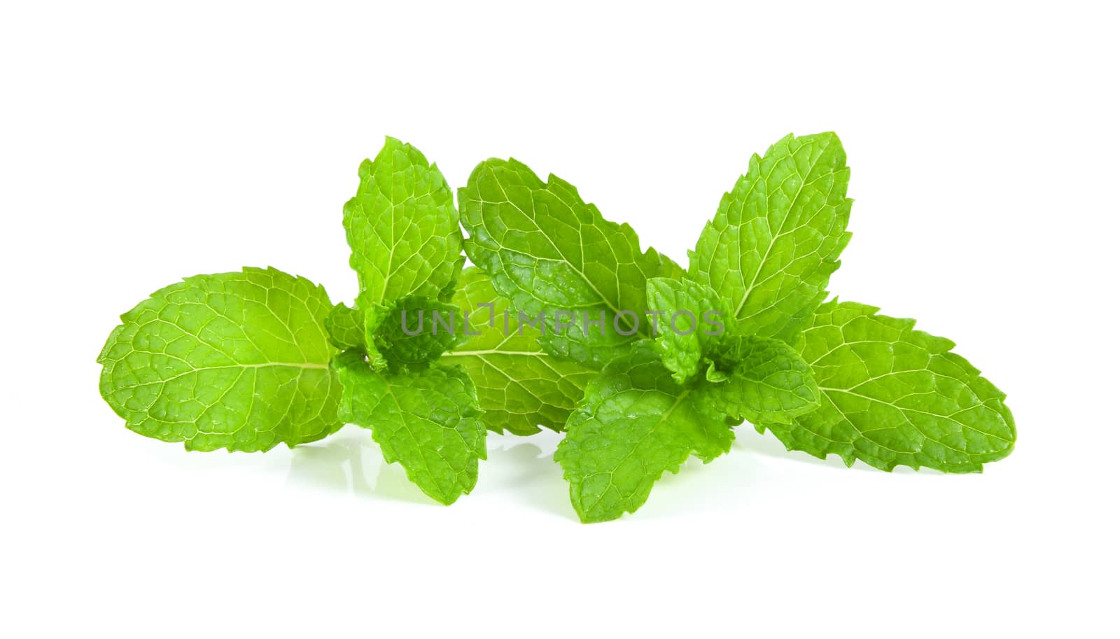 mint leafs isolated on white background by sommai