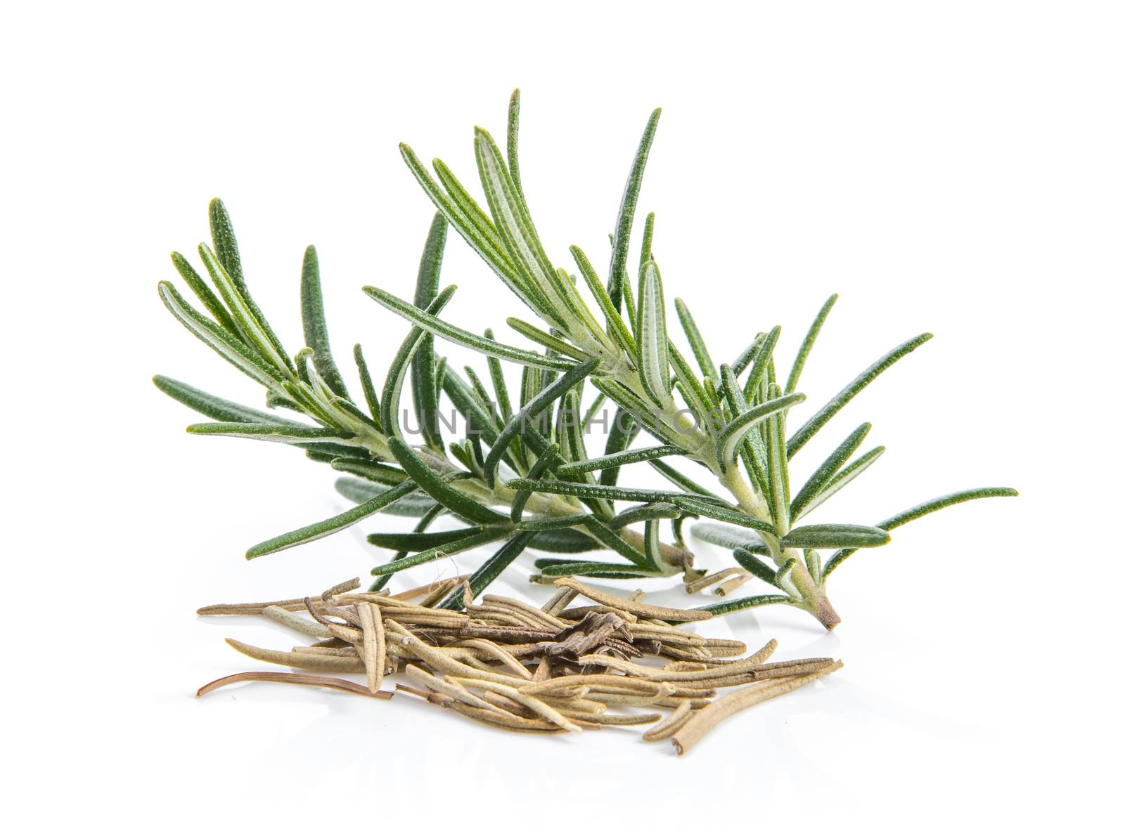 Rosemary isolated on white background by sommai