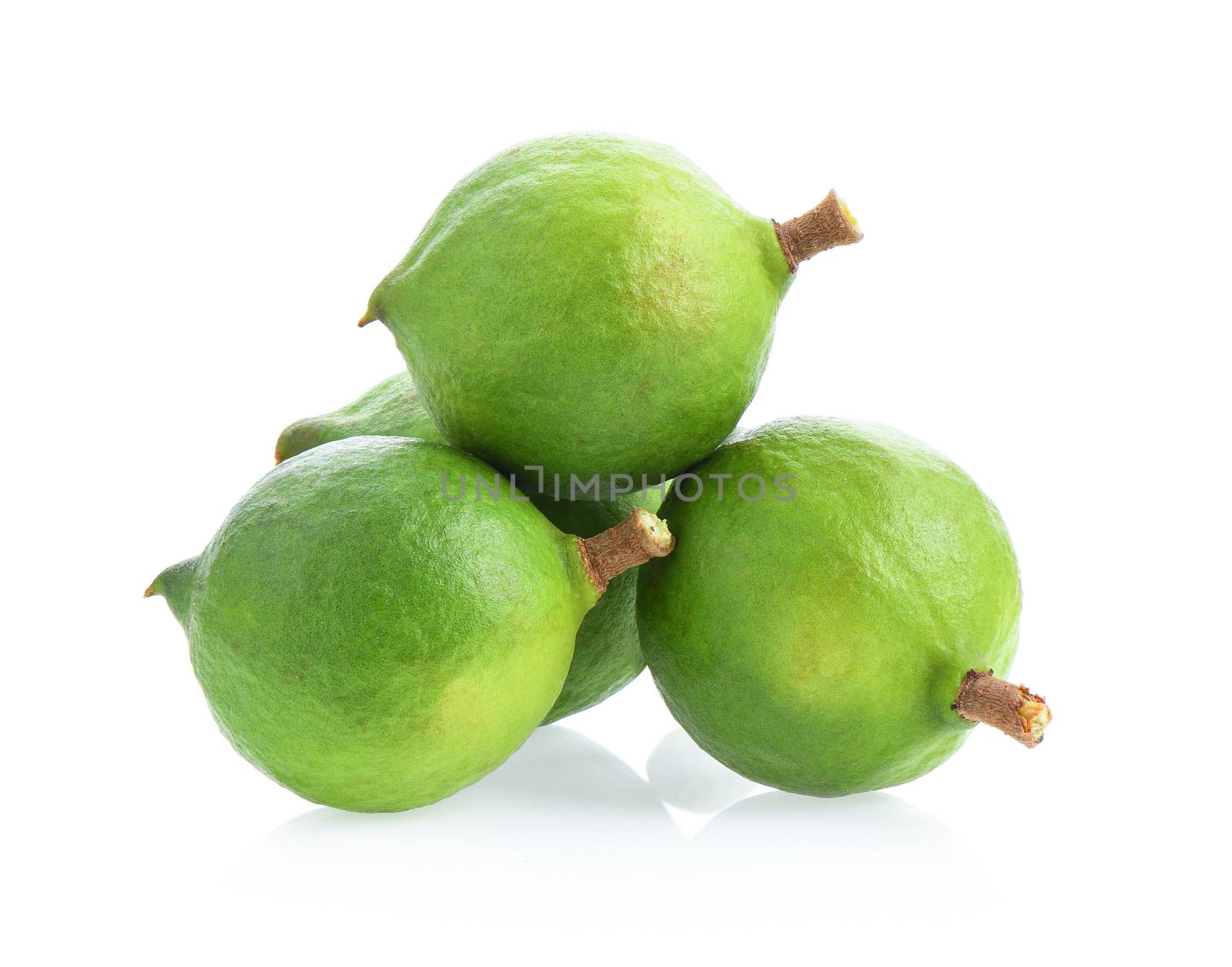 fresh macadamia nuts isolated on white background. by sommai