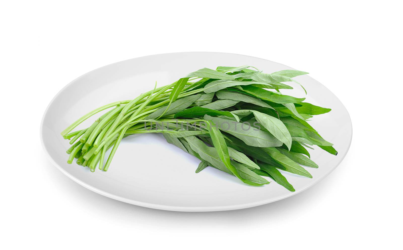 Water spinach in plate isolated on white background by sommai