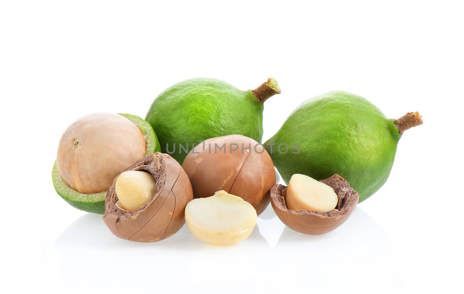 macadamia nuts isolated on white background. by sommai