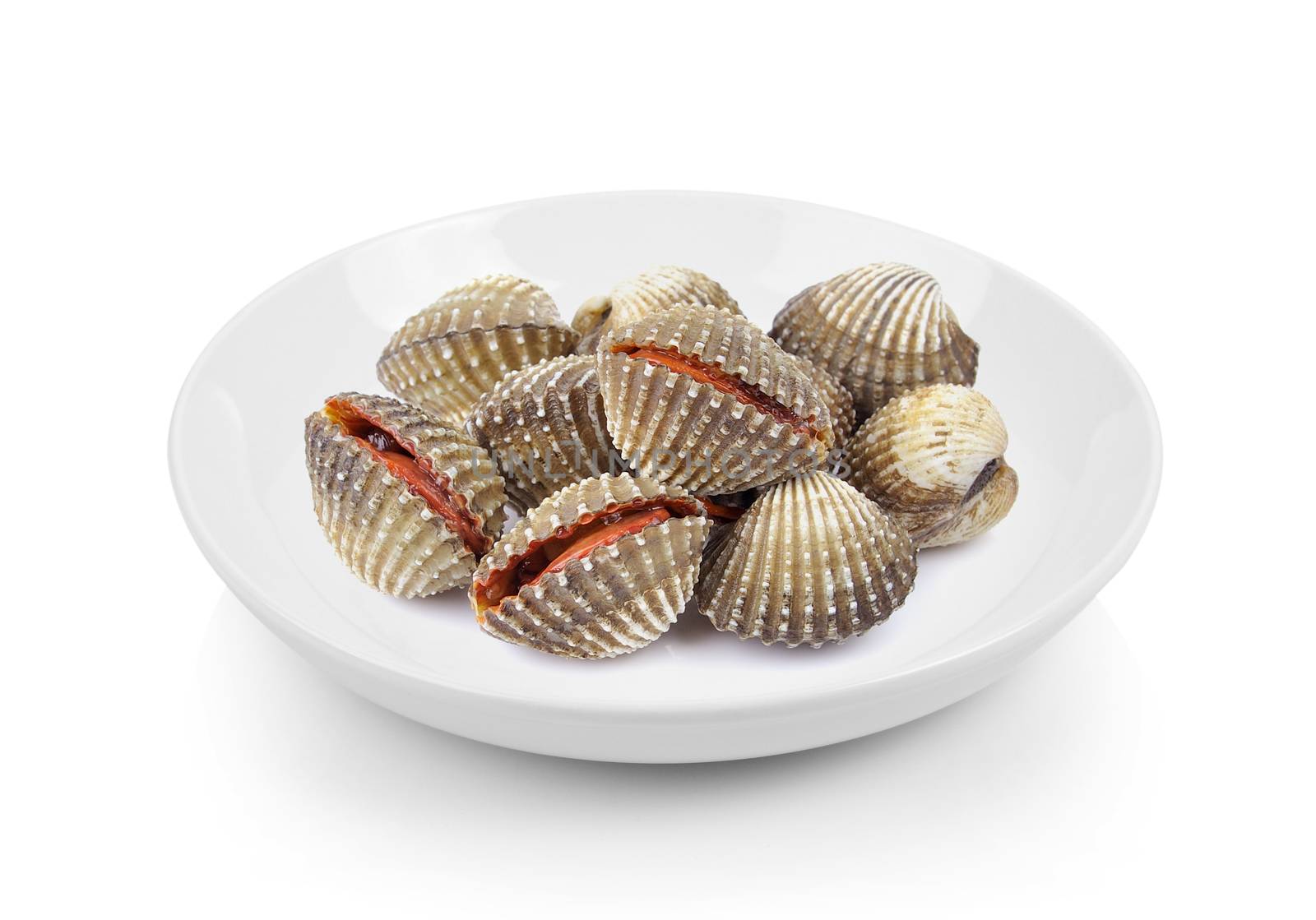 fresh cockles in plate on white background by sommai