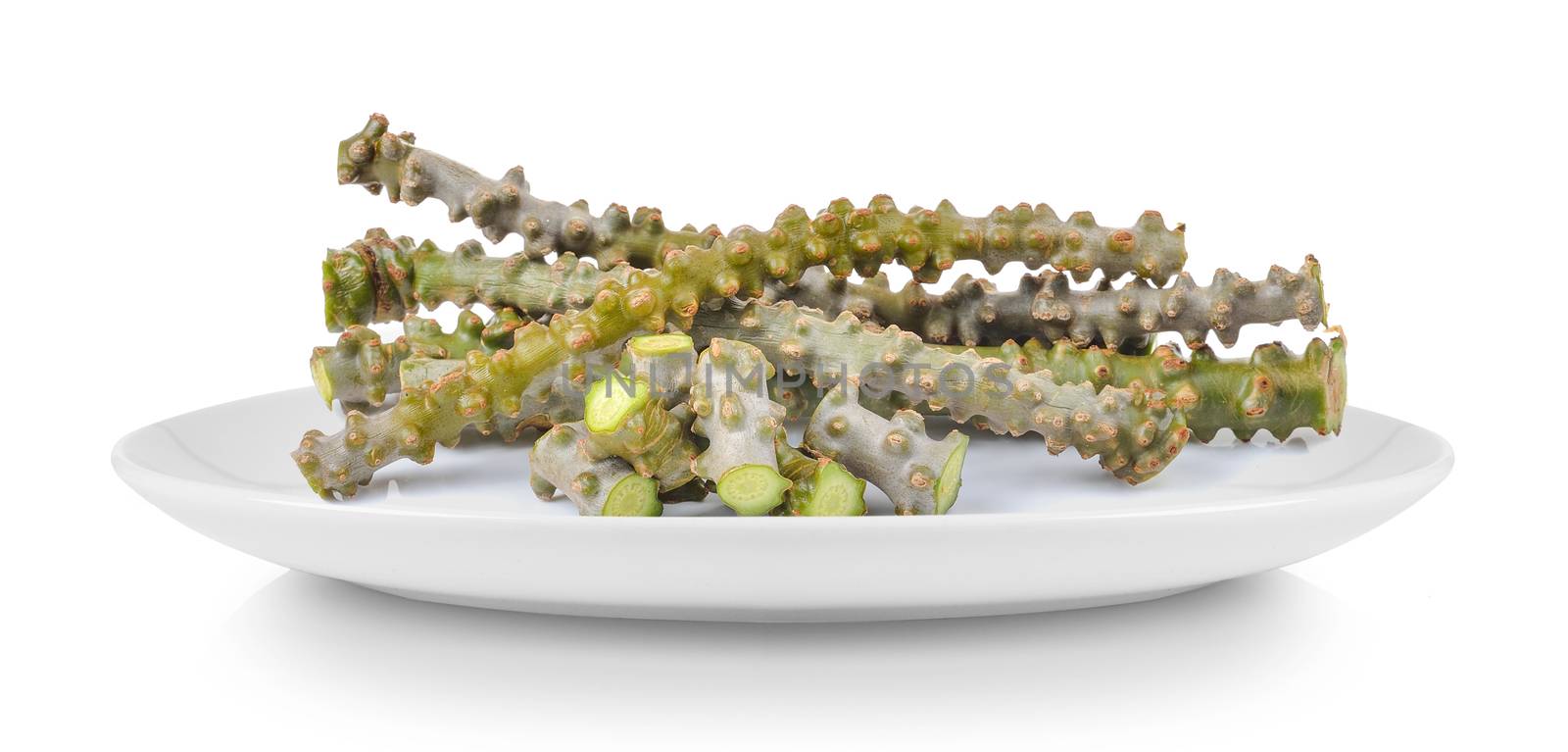 Tinospora cordifolia herb in plate isolated on white background by sommai