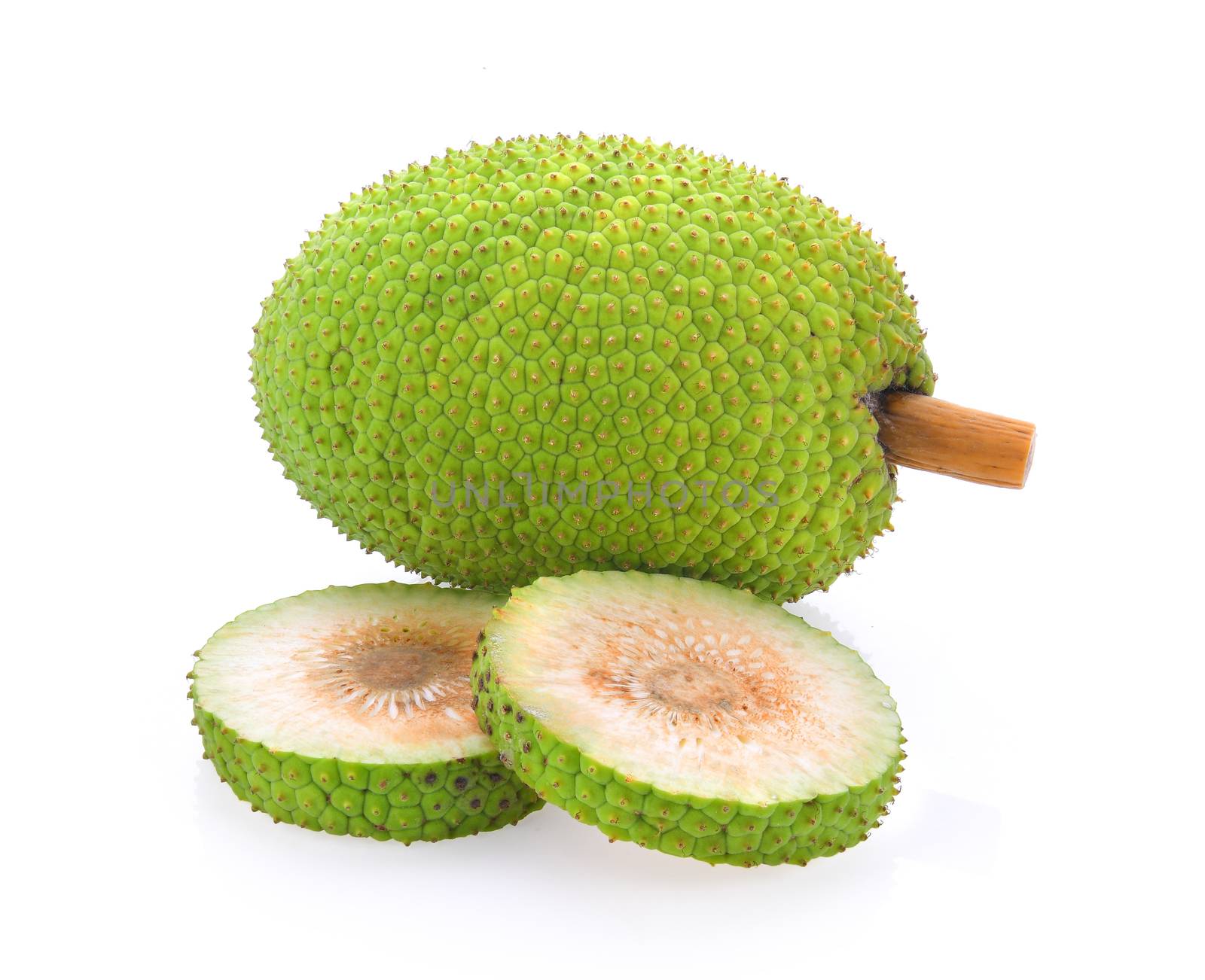 breadfruit isolated on white background