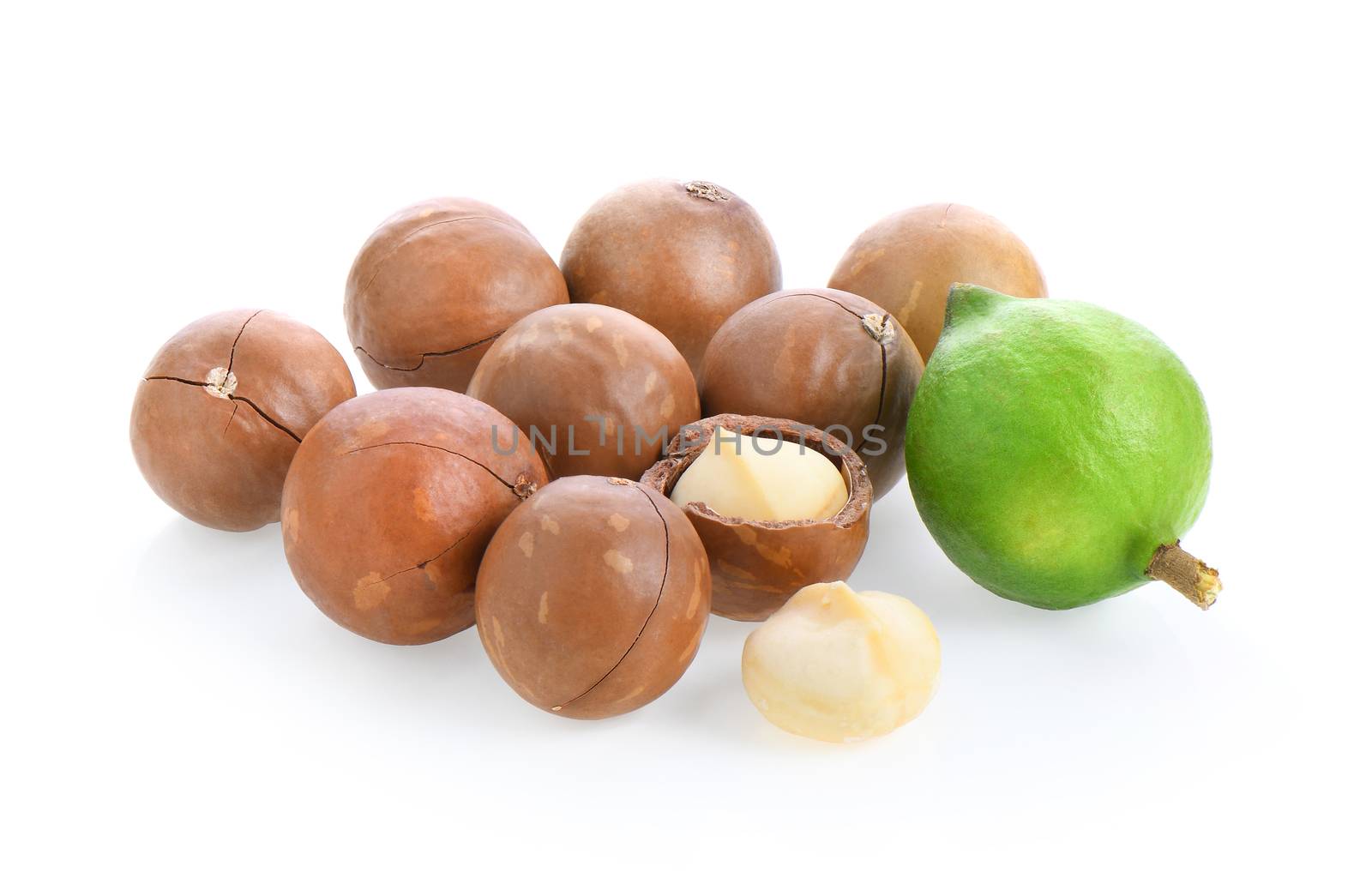 macadamia nuts isolated on white background.