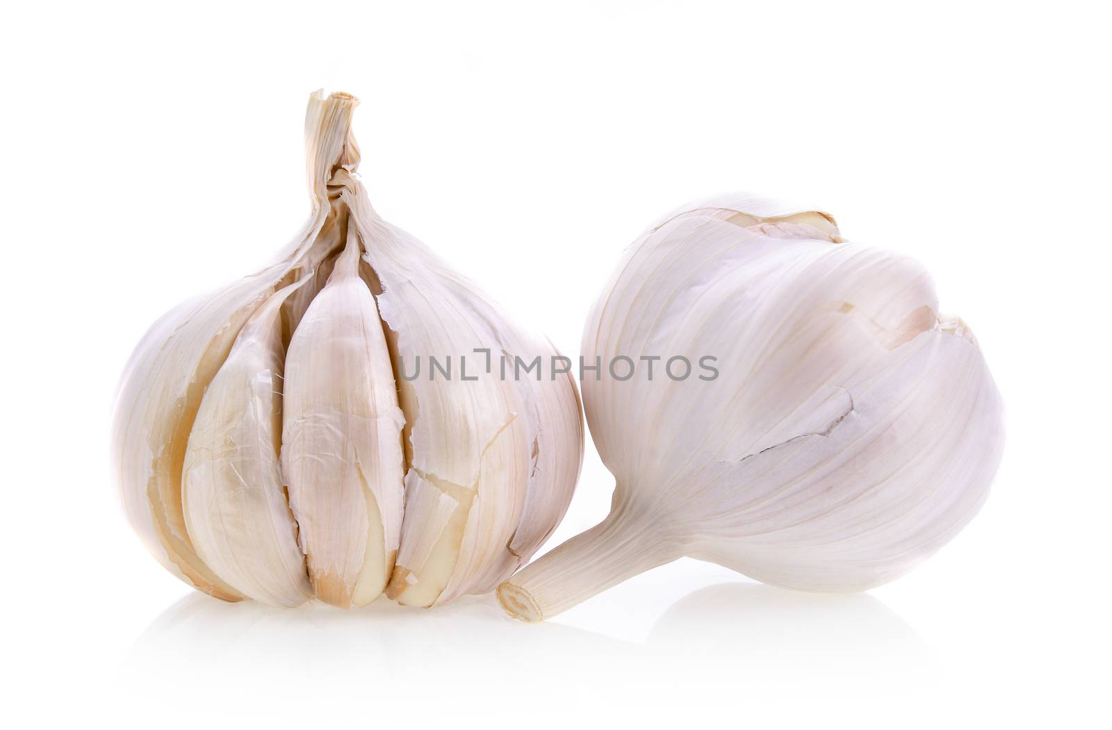 garlic on white background by sommai