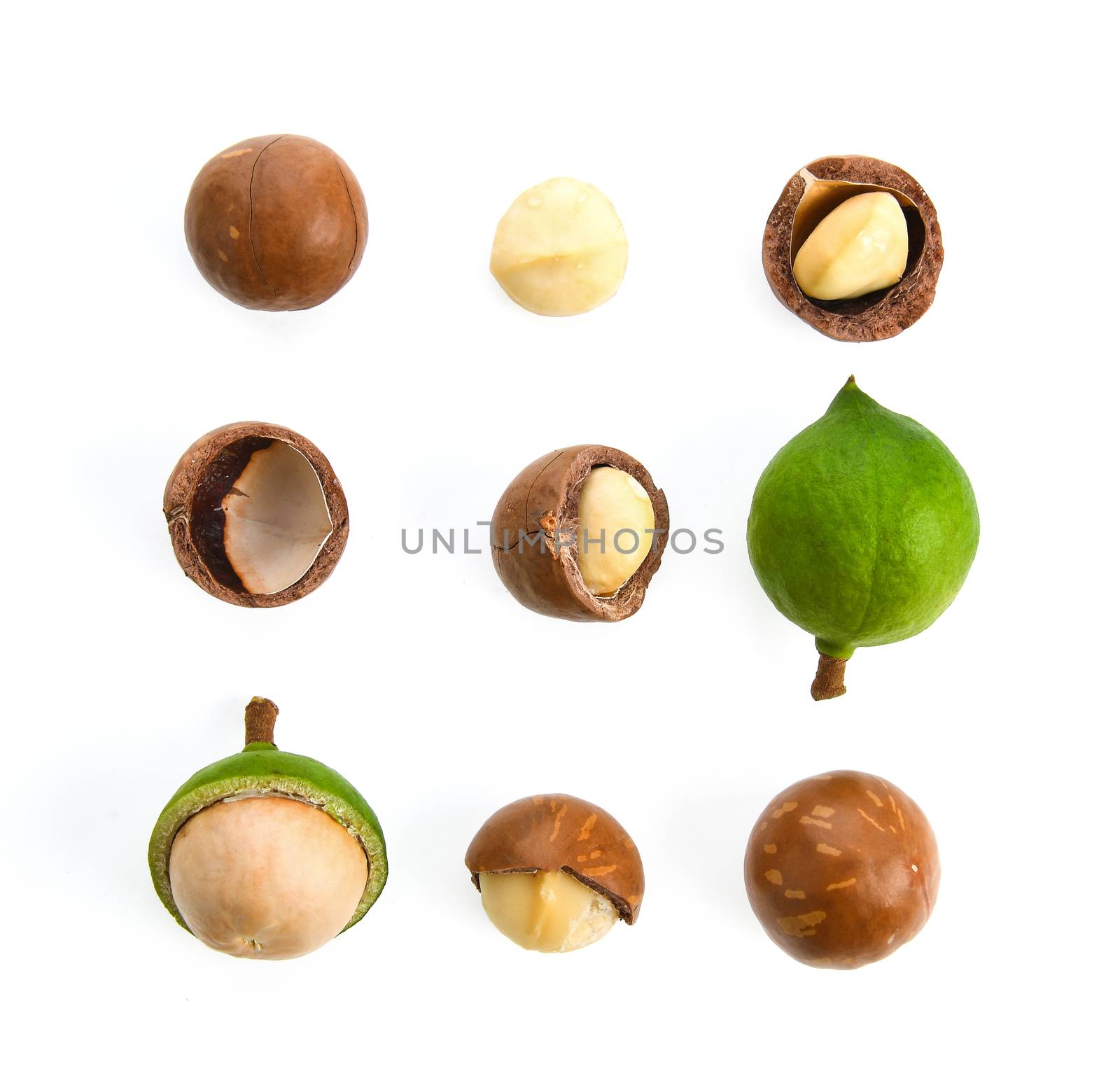 macadamia nuts isolated on white background.