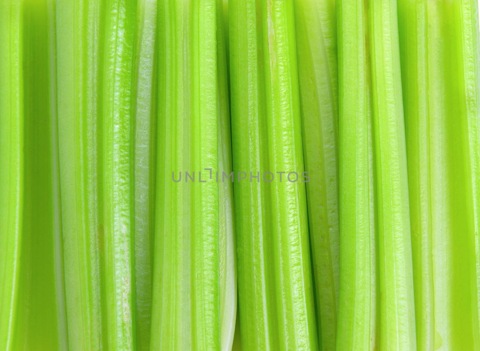 fresh celery background by sommai