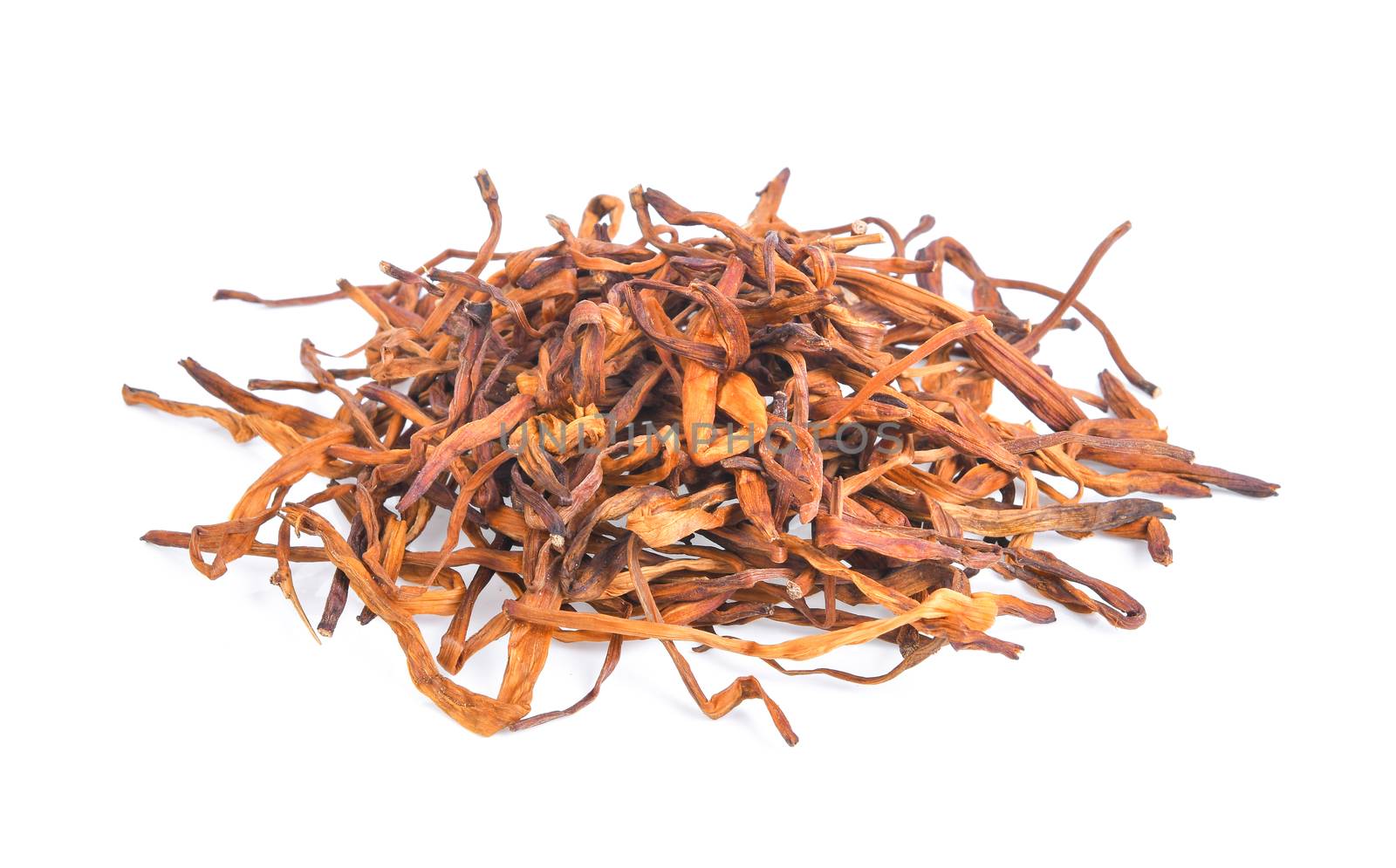 dried day lily flower on white background