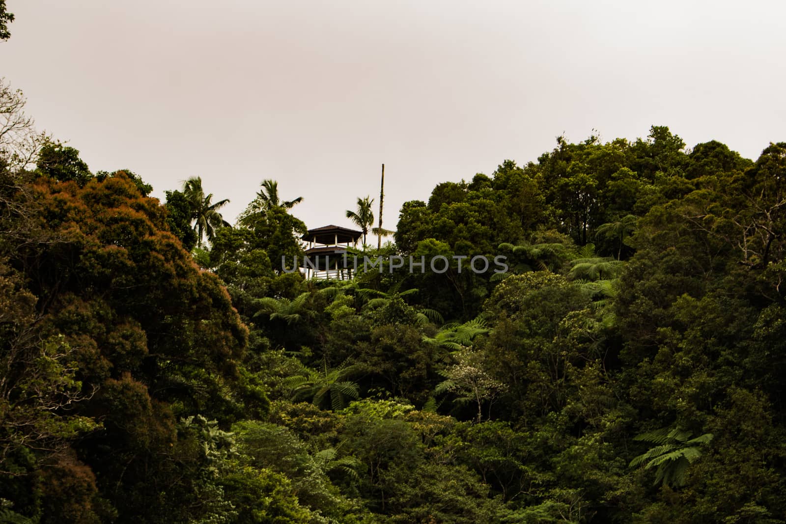 Two identical mountain lakes that are on top of the mountains on the island of Negros. Fog.