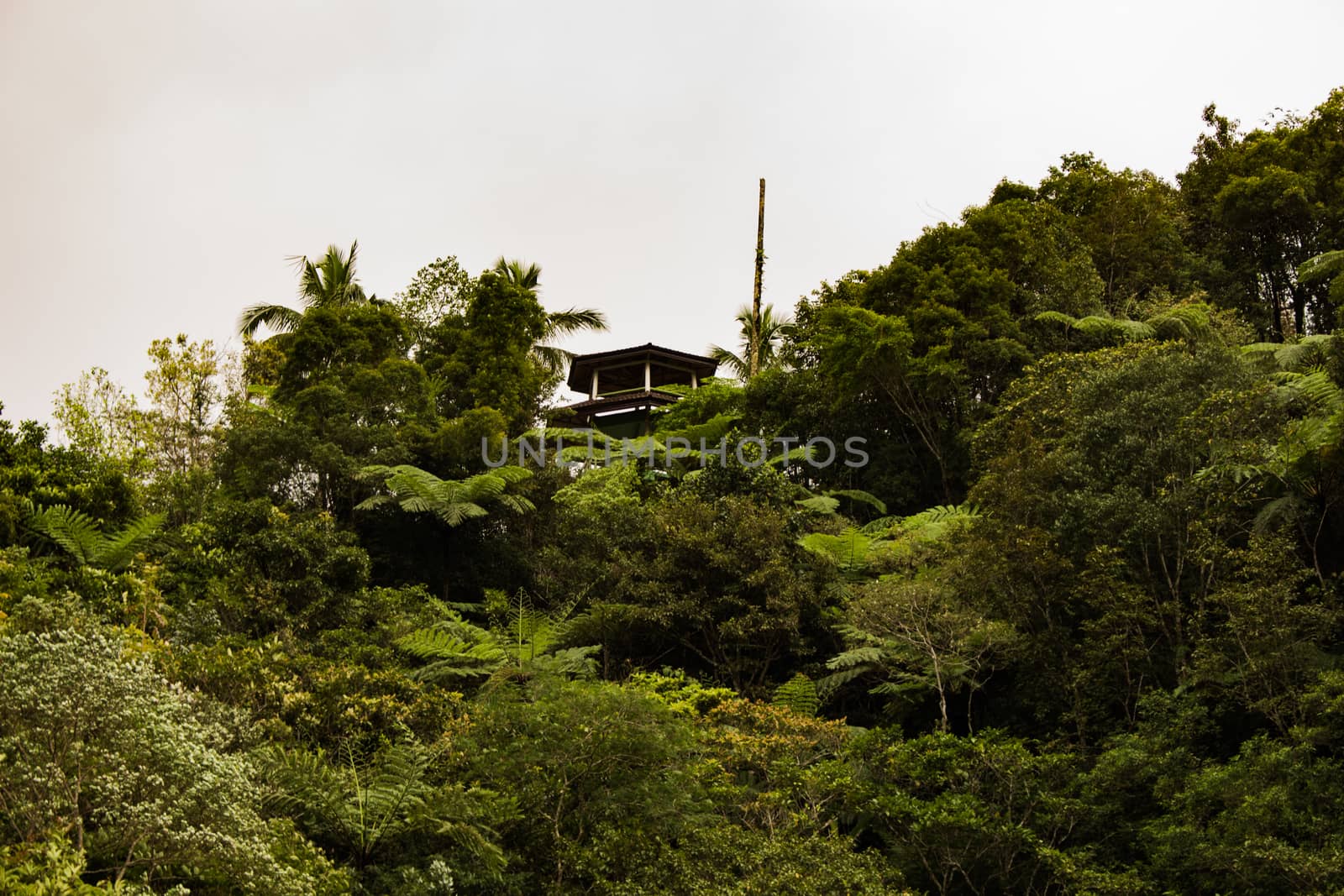 Two identical mountain lakes that are on top of the mountains on the island of Negros. Fog.