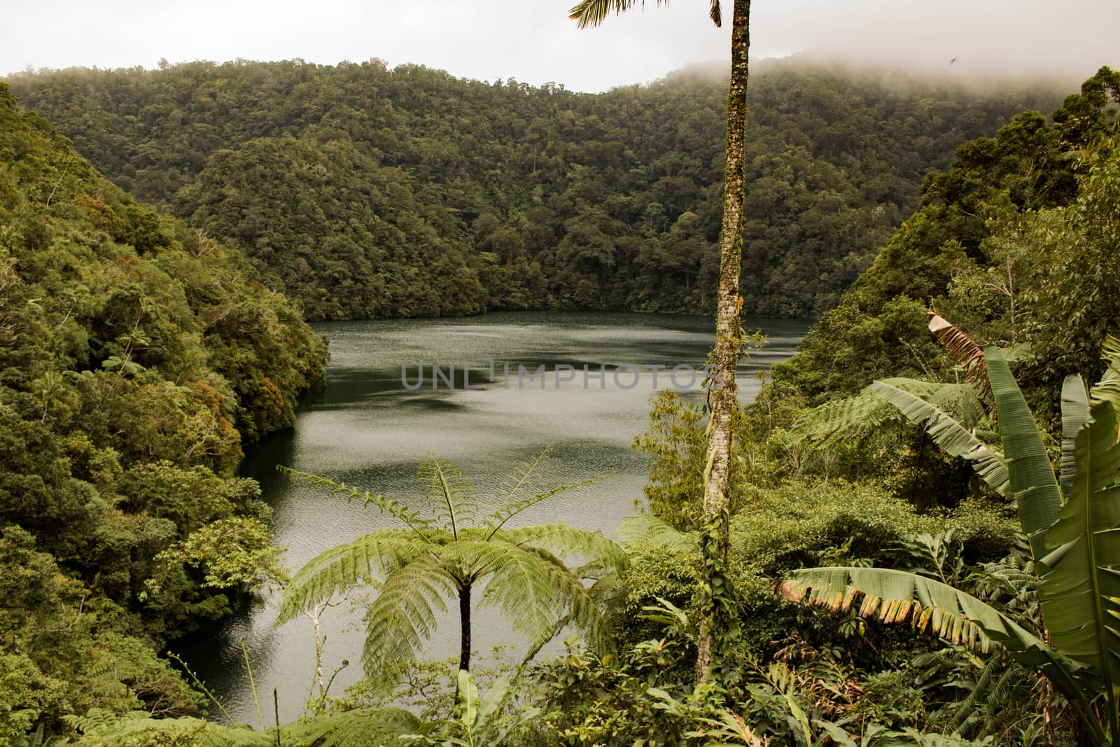 Two identical mountain lakes that are on top of the mountains on the island of Negros. Fog.