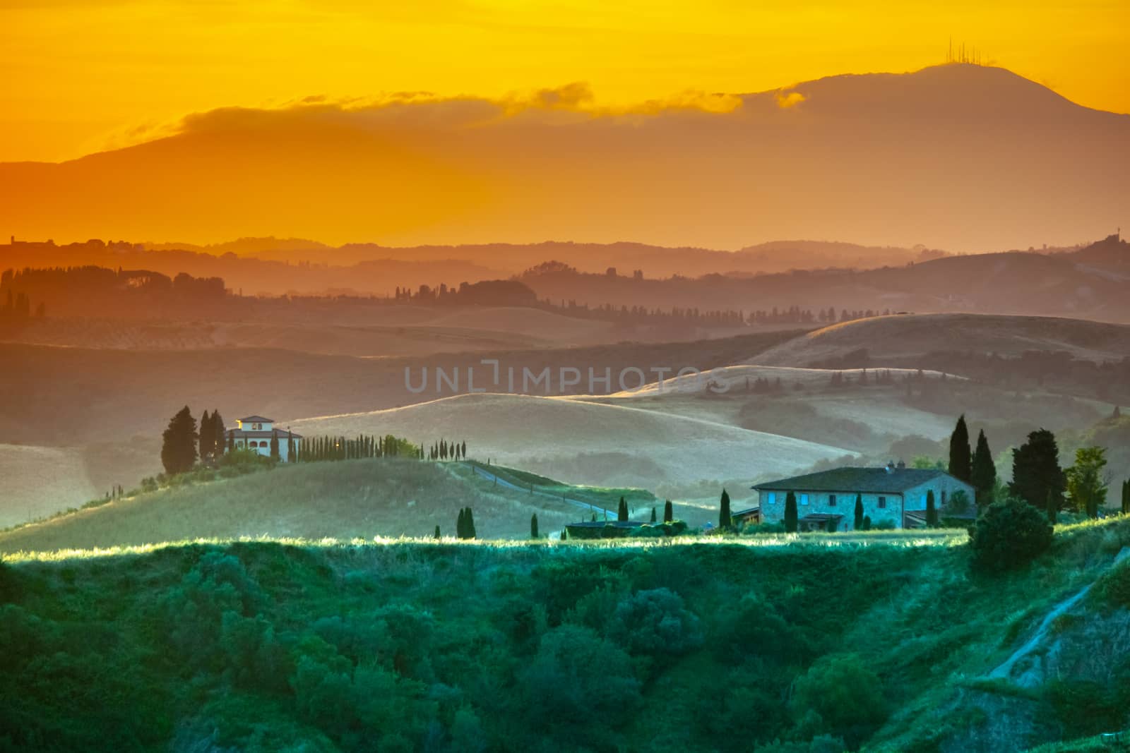 Evening in Tuscany. Hilly Tuscan landscape in golden mood at sunset time with silhouettes of cypresses and farm houses, Italy by pyty