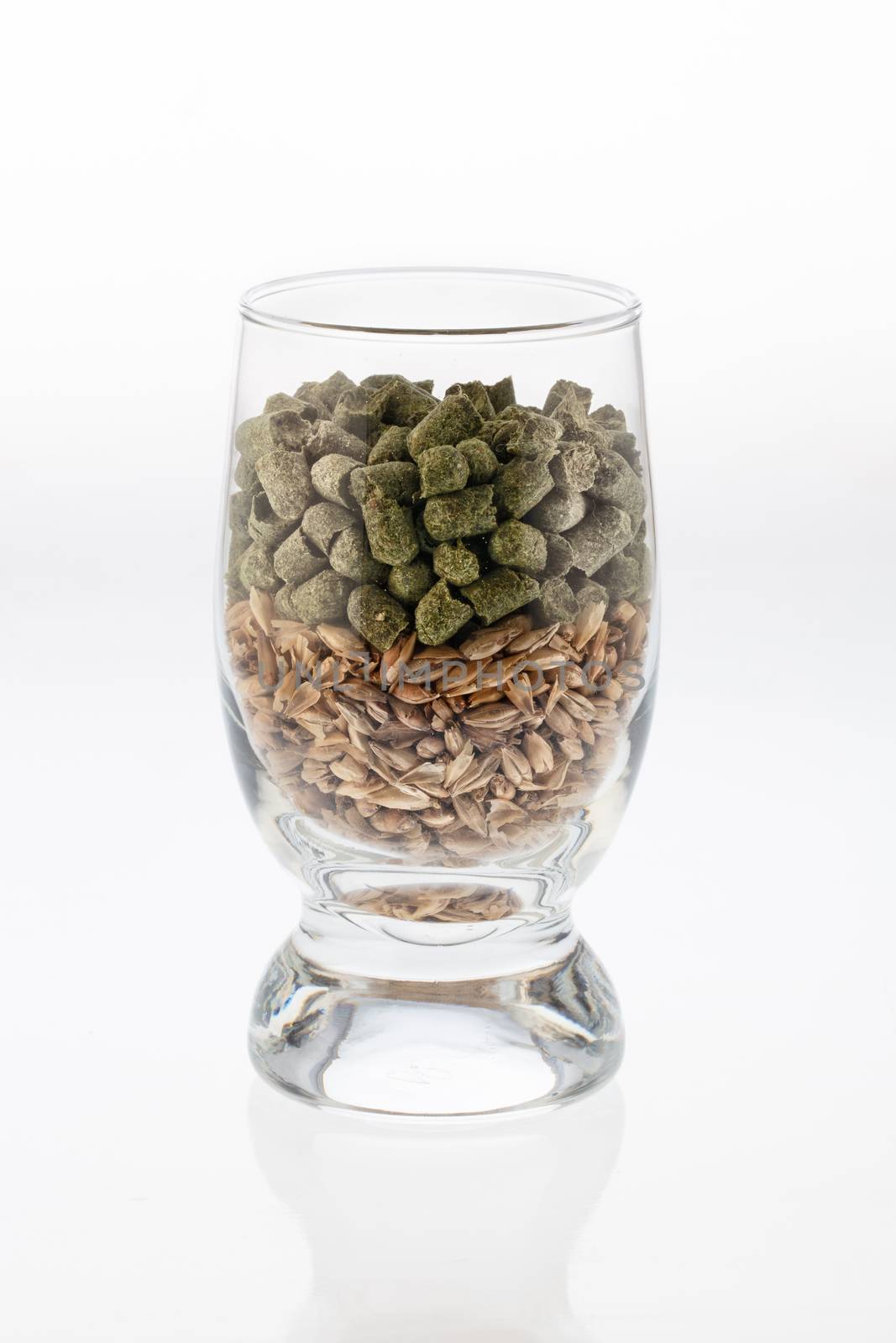 Glass with a malt and a hop on an isolated studio background