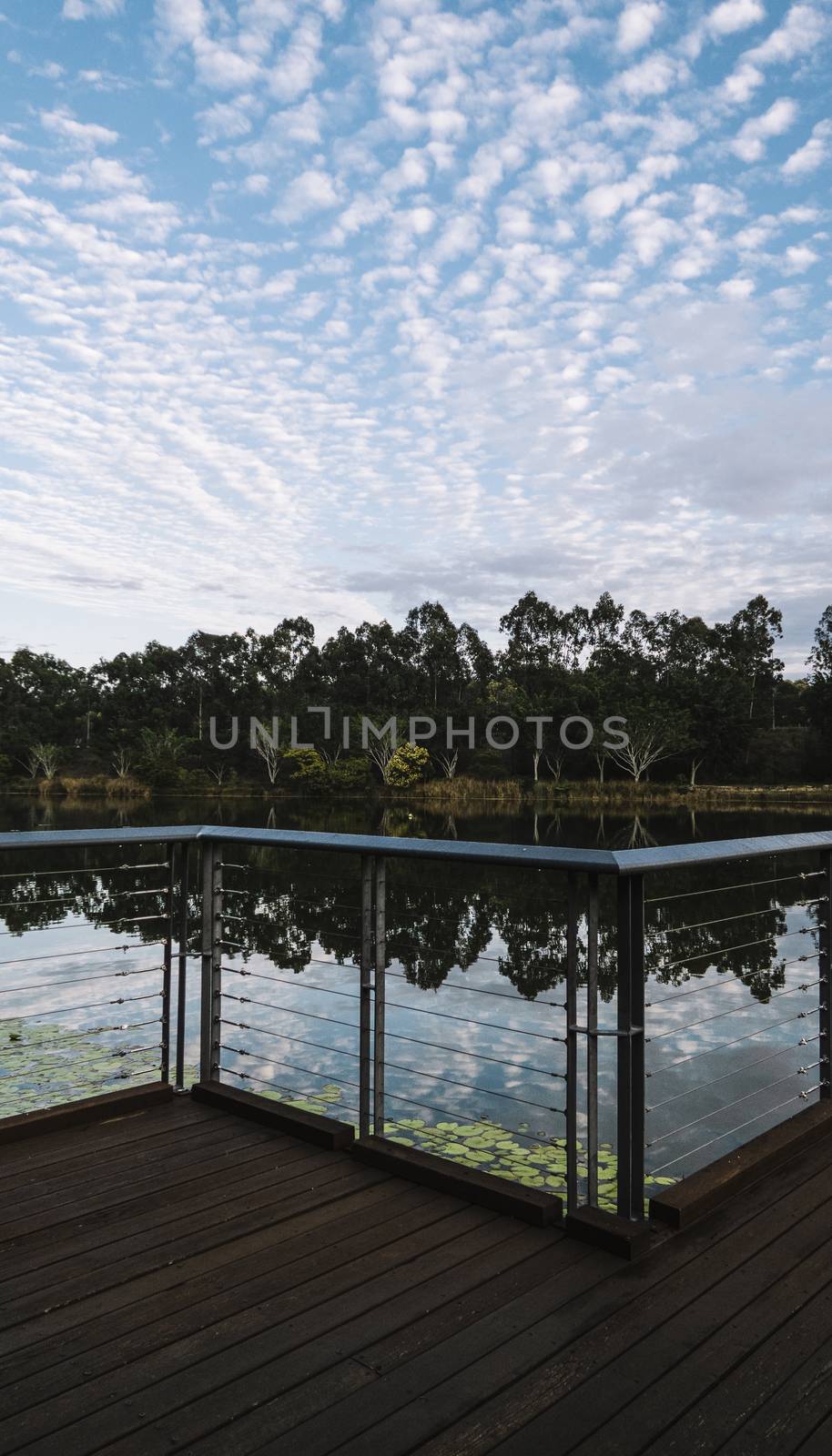 Beautiful lake in Springfield Lakes, Ipswich City, Queensland in the morning.