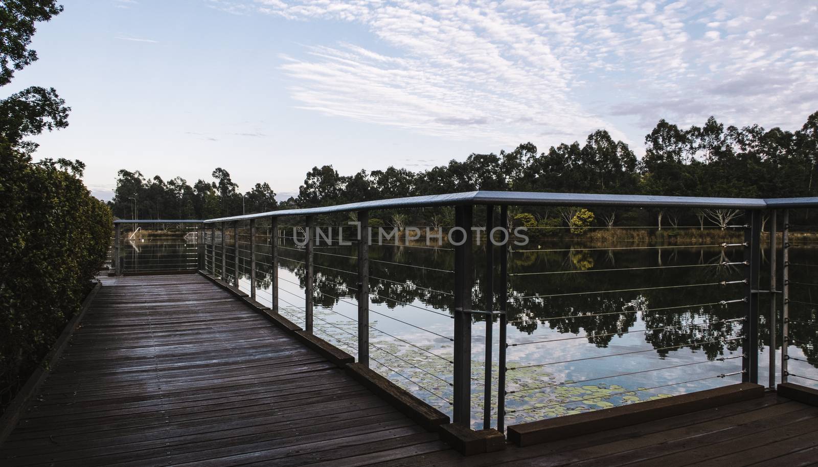 Beautiful lake in Springfield Lakes, Ipswich City, Queensland in the morning.