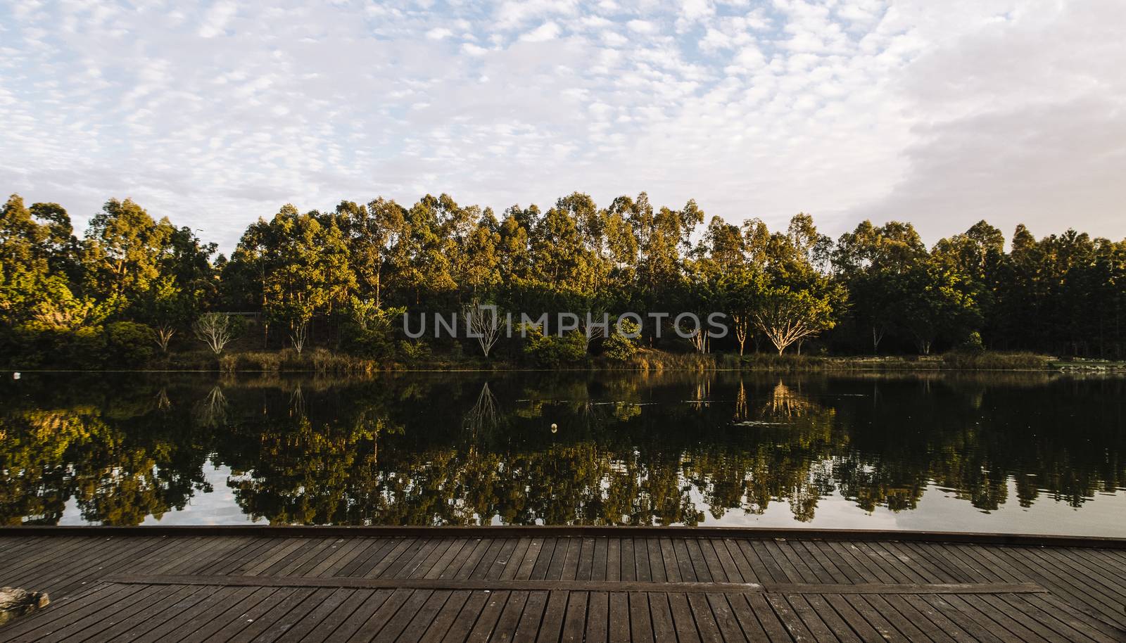 Beautiful lake in Springfield Lakes, Ipswich City, Queensland in the morning.