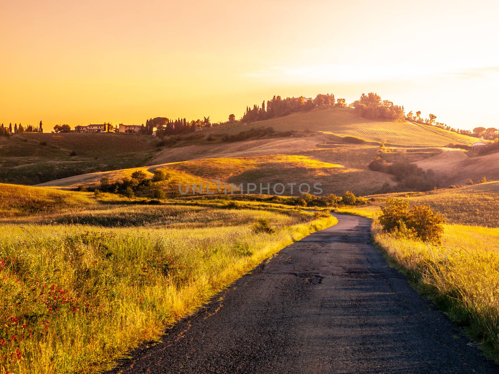 Evening landscape of Tuscany with curvy aspalt road, Italy.