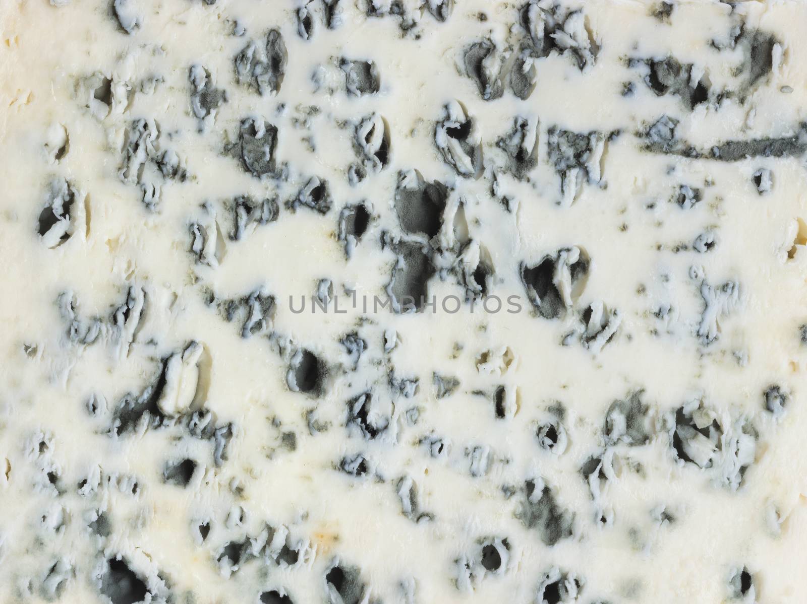Blue cheese texture or background. Close up. by xamtiw