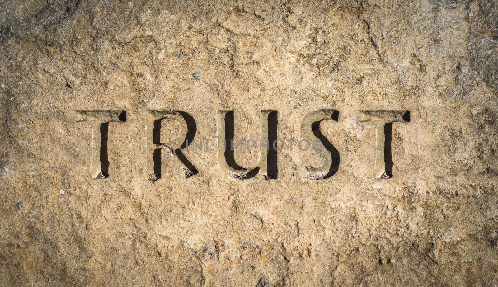 Conceptual Image Of The Word Trust Chiselled Into Stone Or Rock
