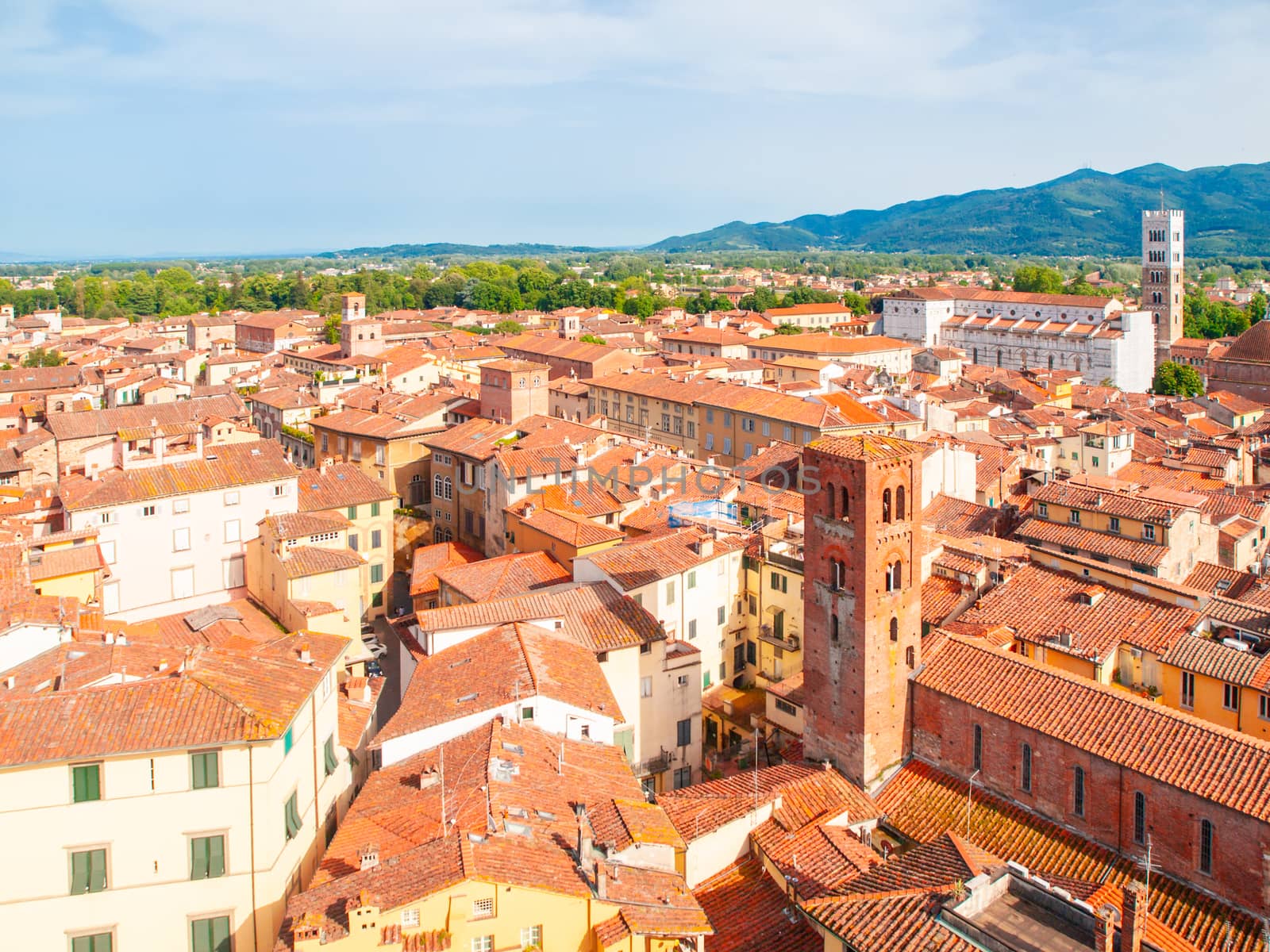 Lucca summer skyline with St Martin Cathedral and bell towers, Tuscany, Italy by pyty