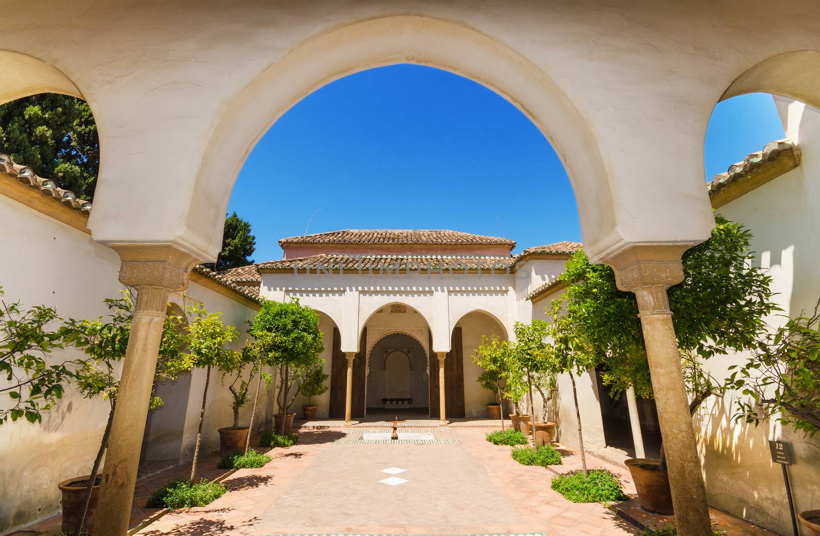 Courtyard garden in Alcazaba Palace, Malaga, Andalusia, Spain.