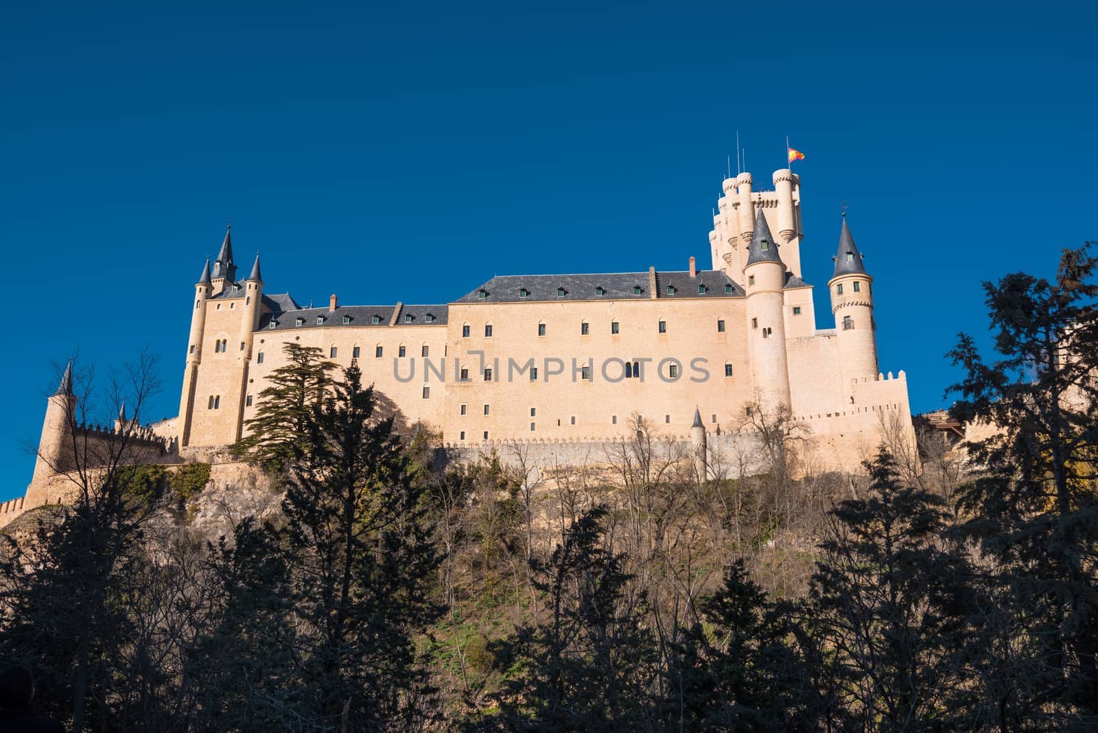Famous Alcazar castle in Segovia, Castilla y Leon, Spain. by HERRAEZ